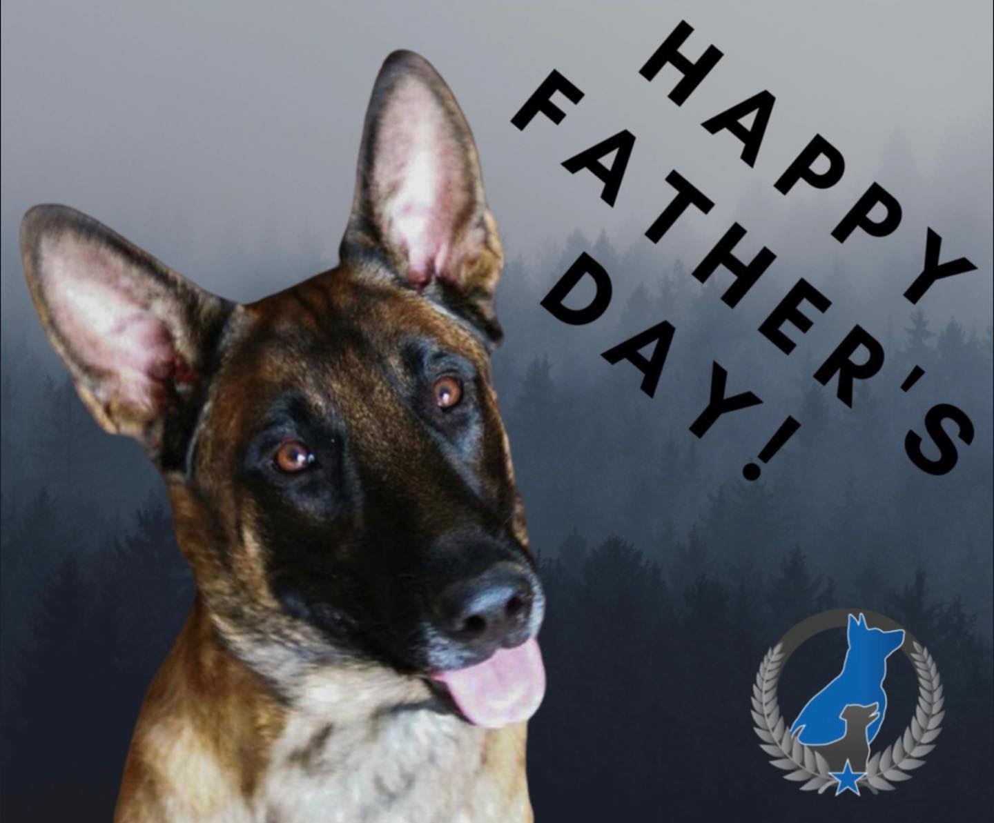 Happy Father&rsquo;s Day! 🐾💙🐕&zwj;🦺
.
.
.



