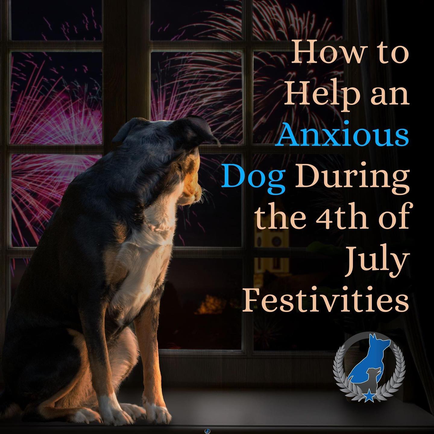 Does your dog deal with fireworks nerves? DTE is here to help with the following tips and tricks for this unintentionally scary holiday!
1. Create a Safe Space: Prepare a quiet, cozy spot in your home where your dog can retreat to. Fill it with their favorite toys, blankets, and perhaps an item that smells like you, such as a shirt, to provide a sense of familiarity and security.
2. Background Noise: Drown out the sound of fireworks by playing some soothing background noise, like classical music or nature sounds. This can help mask the sudden bursts of noise and create a more relaxing environment for your pup.
3. Close the Curtains: Dim the lights and close the curtains to minimize the visual stimulation from the fireworks. This can help reduce your dog's anxiety by blocking out the flashes and bursts of light.
4. Stay Calm and Positive: Dogs are highly perceptive and can pick up on your emotions. Stay calm and act as normally as possible, as your dog will look to you for cues on how to react. Offer reassuring words, gentle strokes, and treats when they exhibit calm behavior.
5. Distraction and Engagement: Engage your dog in activities they enjoy, such as playing games or practicing their favorite tricks. Redirecting their attention to something positive can help shift their focus away from the fireworks.
6. Consult a Vet: If your dog's anxiety is severe or if you've tried various techniques without success, consider reaching out to a veterinarian. They can provide additional advice or recommend anxiety-reducing products or medications if necessary.
Remember, every dog is unique, so it might take some trial and error to find the strategies that work best for your furry friend. Be patient and understanding, and always prioritize their safety and well-being. And if your dog deals with anxiety in general, consult with an expert at Dog Training Elite of West Michigan today for help!

https://dogtrainingelite.com/grand-rapids