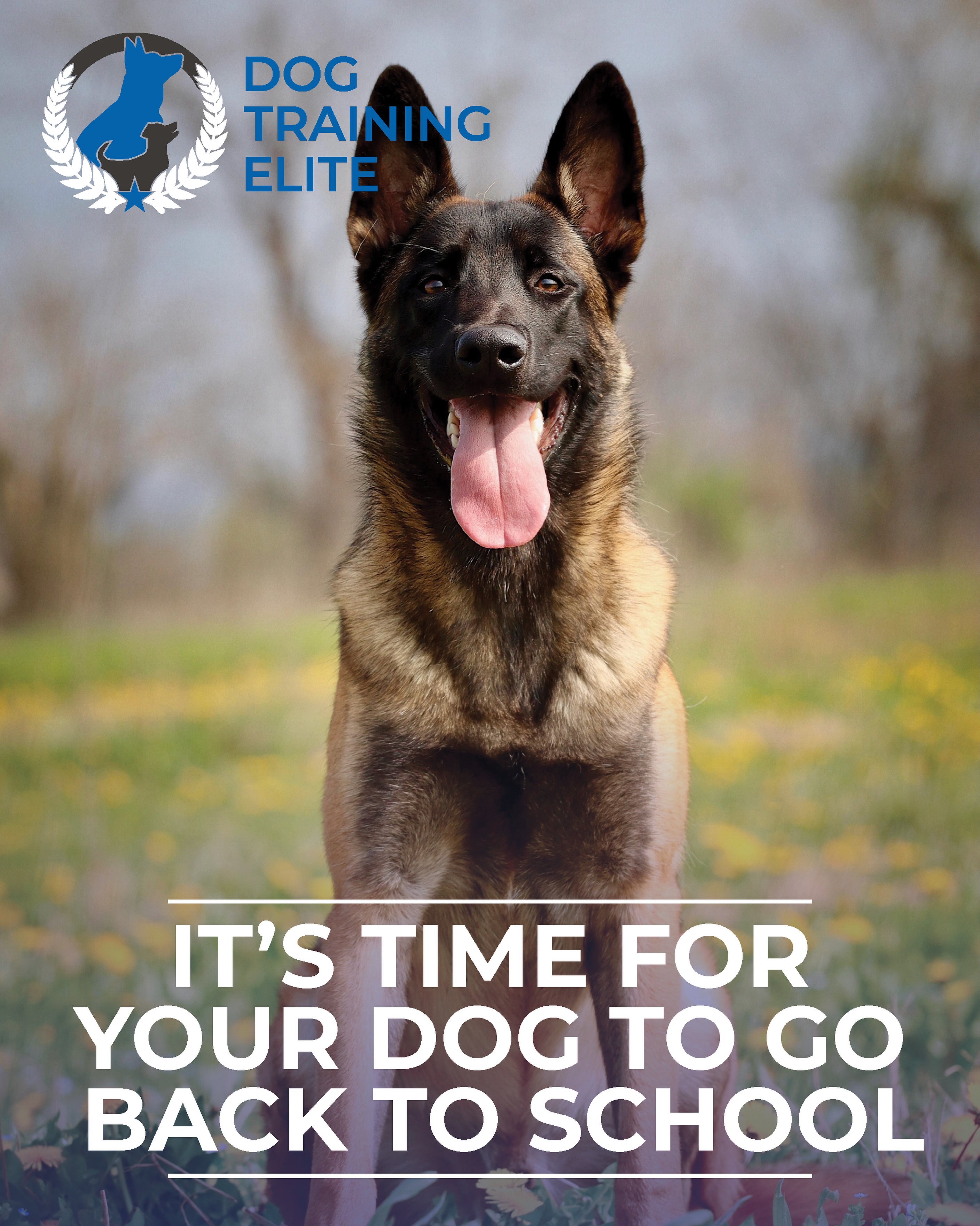 🎒🐾 It&rsquo;s time for your dog to go back to school! 🐶📚 

Whether your dog needs a refresher on obedience, better manners, or is ready to learn something new like becoming a service dog or therapy dog, now is the perfect time to get back into training mode. 🐾✨

📍Serving Grand Rapids, Muskegon, Holland, and surrounding areas.

A well-trained dog makes everyday life easier, safer, and more enjoyable!

🎓 Ready to enroll your pup? DM us to start your dog&rsquo;s training journey!

WellTrainedDog DogTrainer