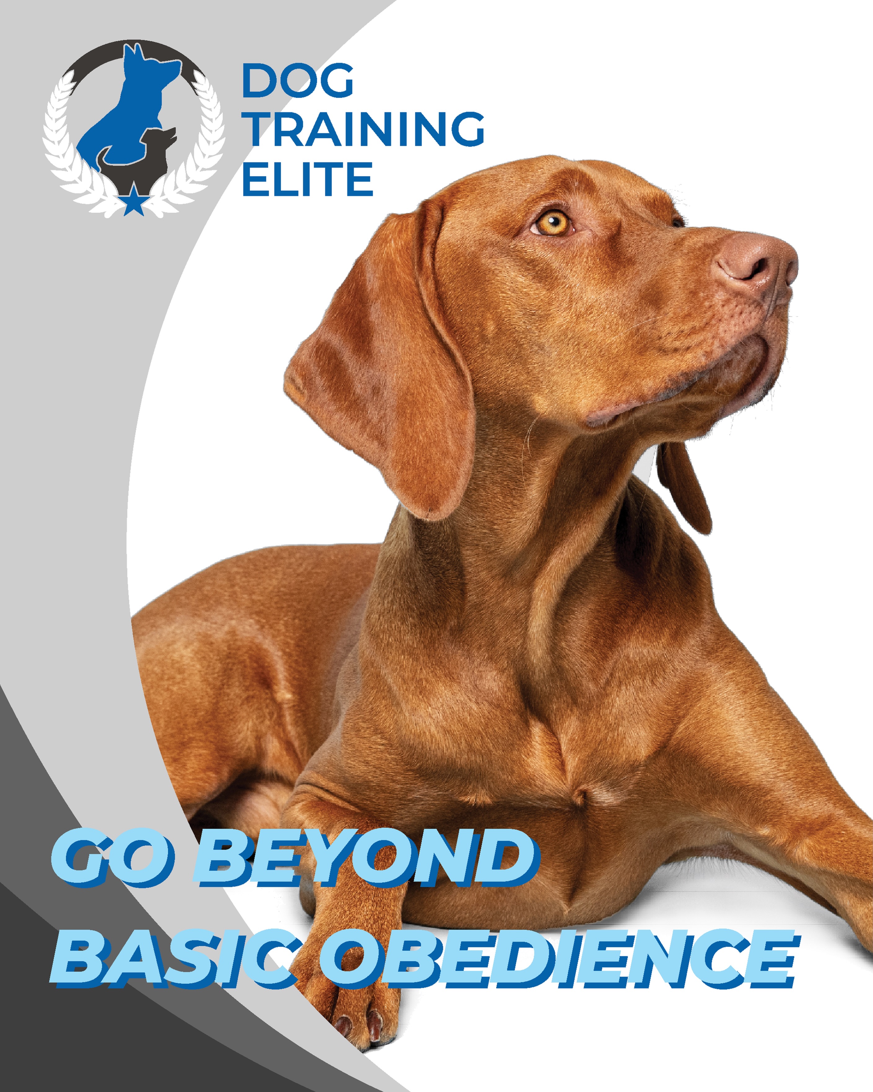 🐾 Beyond Basic Obedience 🐾

Sit. Down. Stay. Come.

Those are important foundations, but great training goes far beyond basic obedience.

At Dog Training Elite, we focus on creating a dog that can confidently navigate the real world&mdash;whether that means walking politely through a busy park, ignoring distractions, greeting people calmly, relaxing at a restaurant patio, or accompanying you on everyday adventures.

Training isn&rsquo;t just about teaching commands. It&rsquo;s about building communication, trust, and reliability so you and your dog can enjoy life together with less stress and more freedom. 💙🐶

The goal isn&rsquo;t a dog that listens only in your living room&mdash;the goal is a dog that listens wherever life takes you.

🦮
