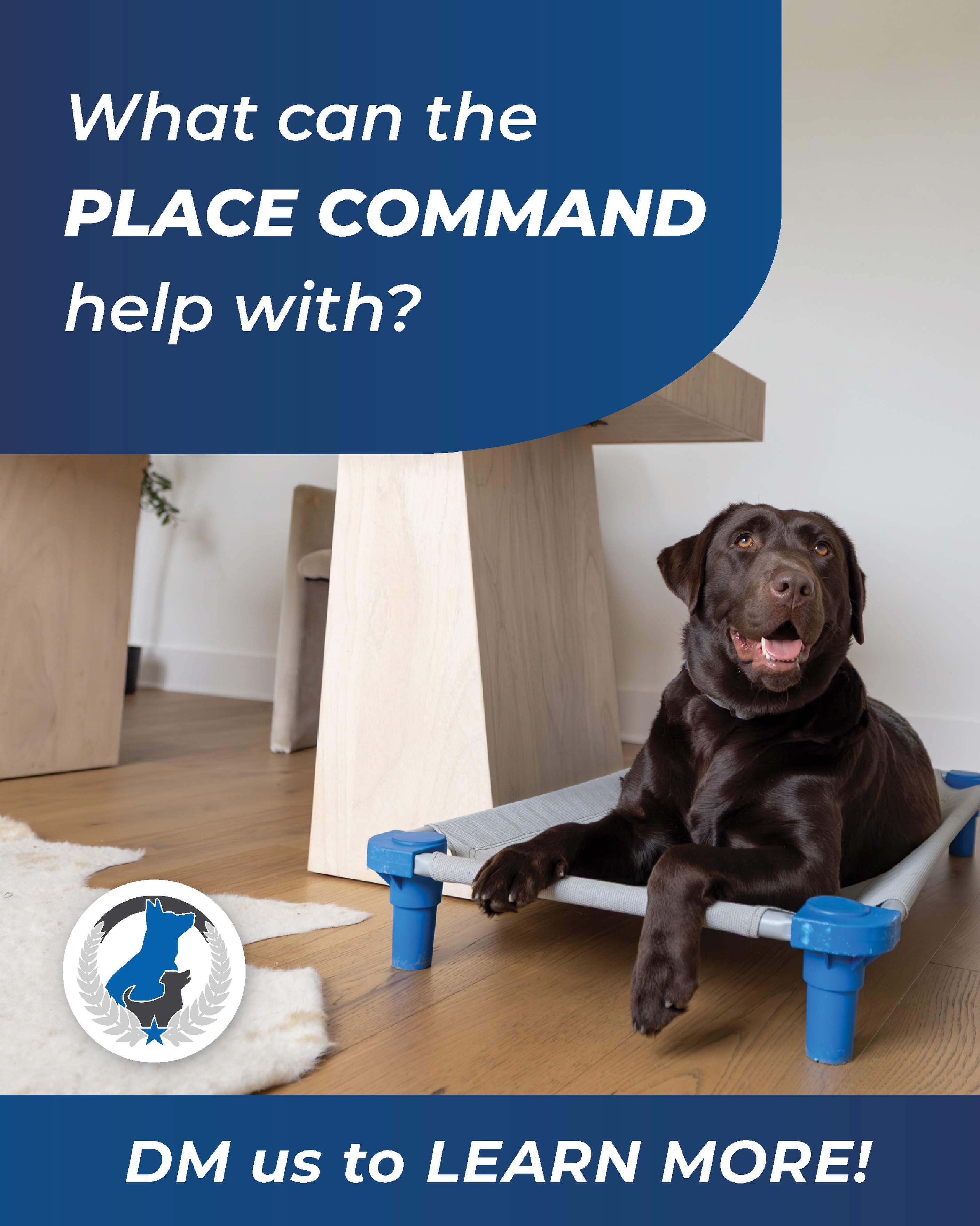 The place command is so much more than getting your dog to lie on a cot.🐾

It can help with:
✨ Jumping on guests
🍽️ Begging during meals
🚪 Barking at the door
👧 Kids running through the house
🌎 Staying calm in busy environments
🧠 Building impulse control and confidence
🛋️ Relaxing while you work, cook, or watch TV

Teaching your dog to settle on command is a game-changing skill that makes everyday life easier for both of you. 🐶💙

📩 DM us to learn more!

