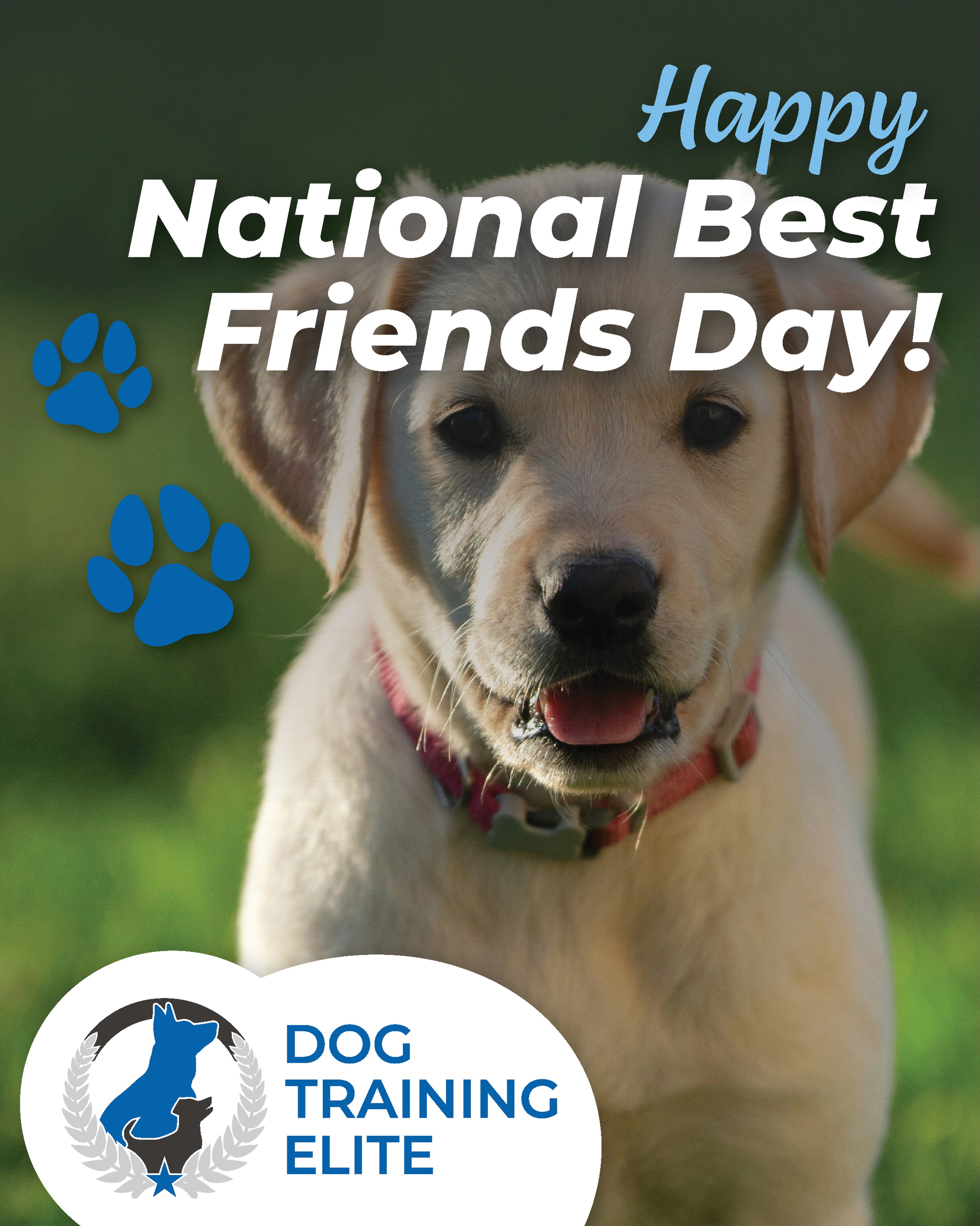 💙 Happy National Best Friends Day! 💙

Whether they&rsquo;re a beloved pet, a hardworking service dog, a comforting therapy dog, or simply your very best friend, dogs have a special way of making life better. 🐾

They greet us with excitement, stand by us through life&rsquo;s ups and downs, and fill our days with loyalty, companionship, and joy. Today, celebrate the dog who makes your world a little brighter with an extra belly rub, treat, or adventure! 🦴✨

