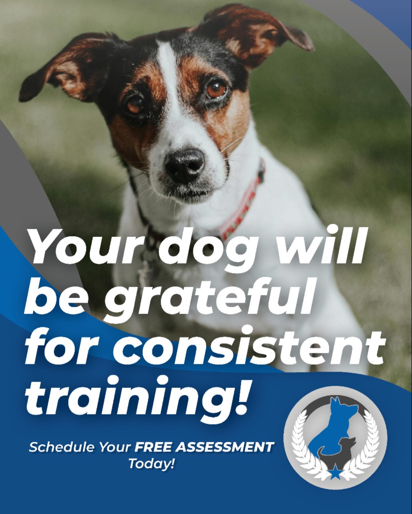 🏡Your home feels different when your dog understands what’s being asked of them — calmer walks, smoother routines, and a whole lot less stress for everyone. 🐾✨

Your dog will be grateful for consistent training, and you’ll feel the difference, too. 😅💙

Ready to get started?
Schedule your FREE assessment today! 📆🙌

👉 Serving Grand Rapids, Muskegon, Holland, and surrounding areas
dogtrainingelite.com/west-michigan

TrainForCalm