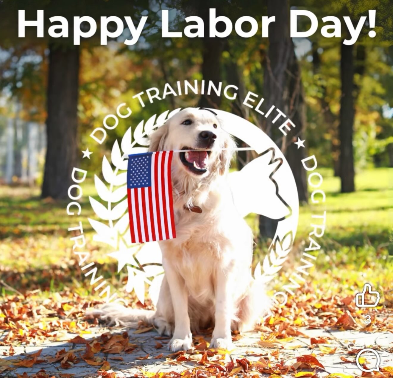 🇺🇸 Happy Labor Day! 🇺🇸 Celebrating hardworking people and dogs everywhere&mdash;wishing you a safe, relaxing holiday with great company and your four-legged family members! 🐾💙l

