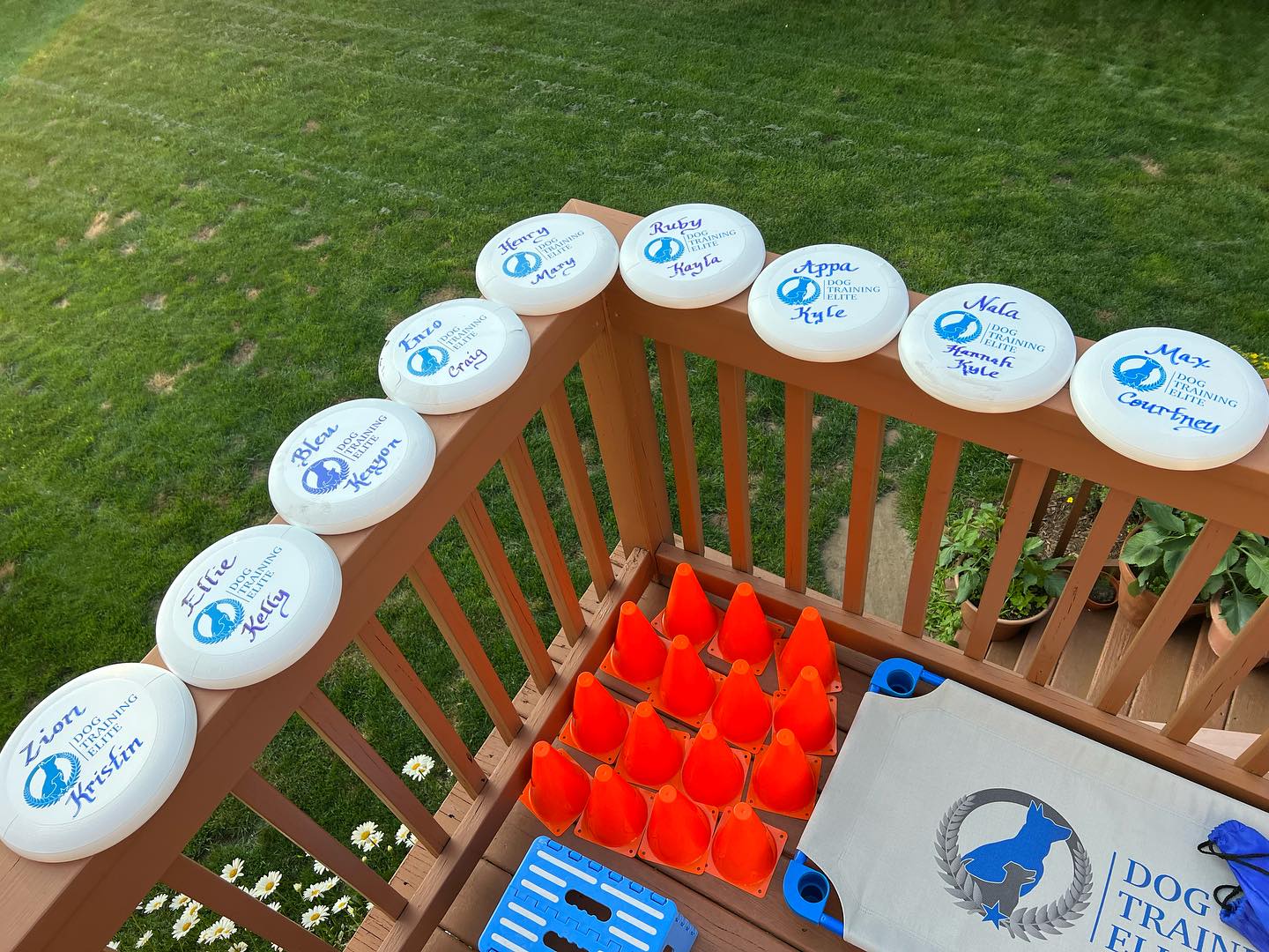 Getting ready for group class tomorrow! 🐾💙🦮












