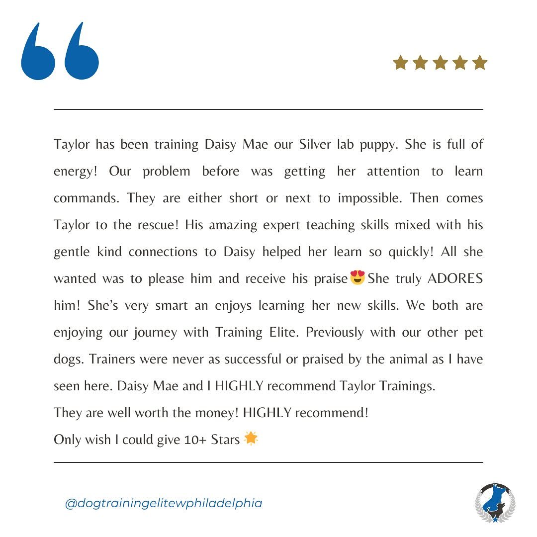 What an amazing review 💙 We love having Daisy Mae in the pack!

If our training has made a positive impact in you and your dog&rsquo;s life, we would love to hear about it! You can either leave a Google review or a social media post tagging us! Each counts as one entry (up to 2 entries allowed per family) for a chance to win a dinner for 2 at Joey Chops in Malvern!! (sorry no four legged companions). The winner will be drawn on the official last day of summer 9/22/24! 

Link to leave a review ⬇️
https://g.co/kgs/h5kdAE3

