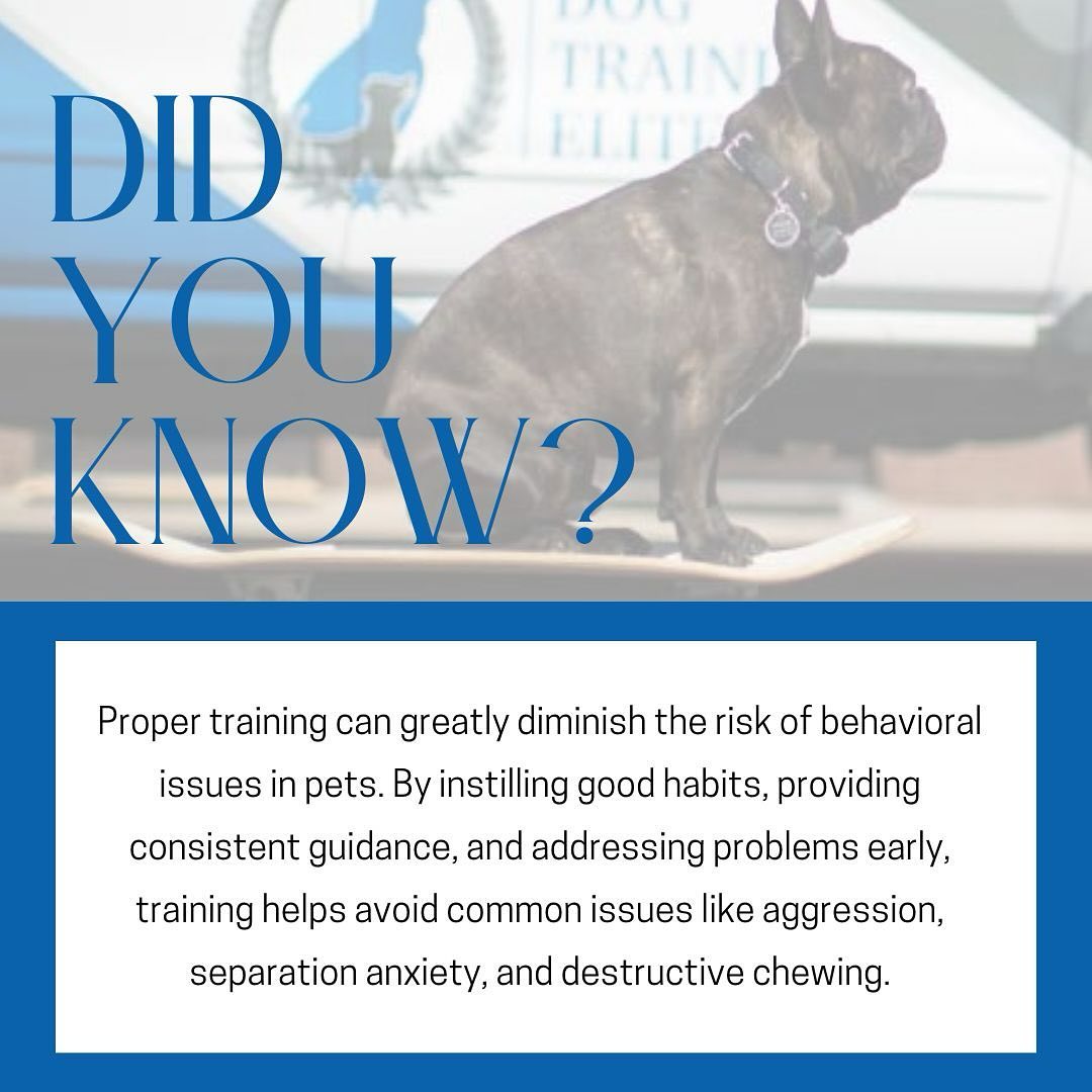 Start today to avoid future frustrations! Tap the link in our bio to learn more 🐕

