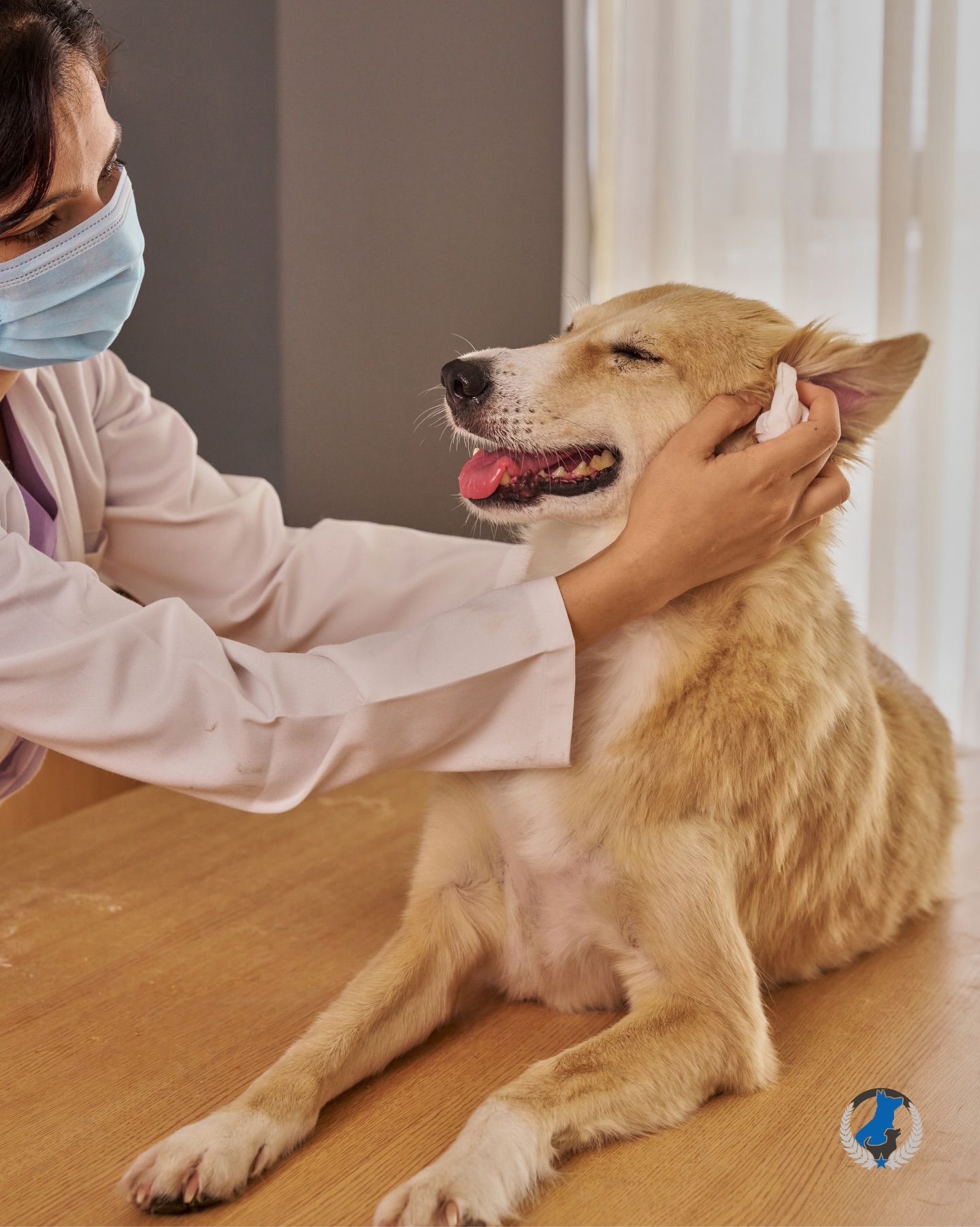 This week, we&rsquo;re proud to celebrate Veterinary Medicine Day & honor the dedicated professionals who care for the pets we love. Their hard work, compassion, and commitment never go unnoticed. Thank you for everything you do, today and every day! 🩺❤️&zwj;🩹🐶

