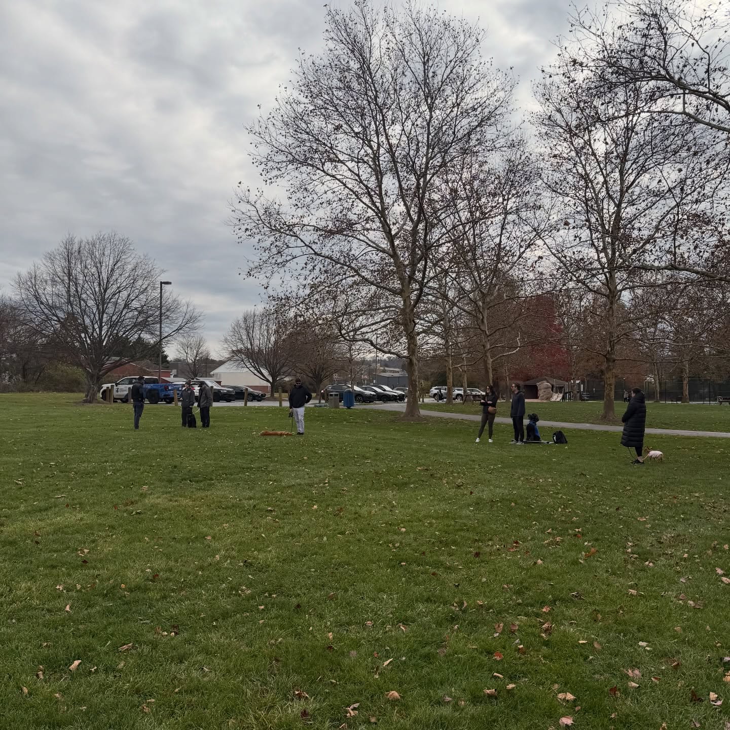 Our group classes create structured, confidence-building training for both dogs and owners. 🐶

Your pup will:
&bull; Build stronger social skills
&bull; Work within a supportive training environment
&bull; Strengthen the dog-owner bond
&bull; Reinforce essential obedience
&bull; Learn to handle real-world distractions
&bull; Benefit from focused coaching in small groups

To get started, tap the link in bio to request a free assessment. 🔗

