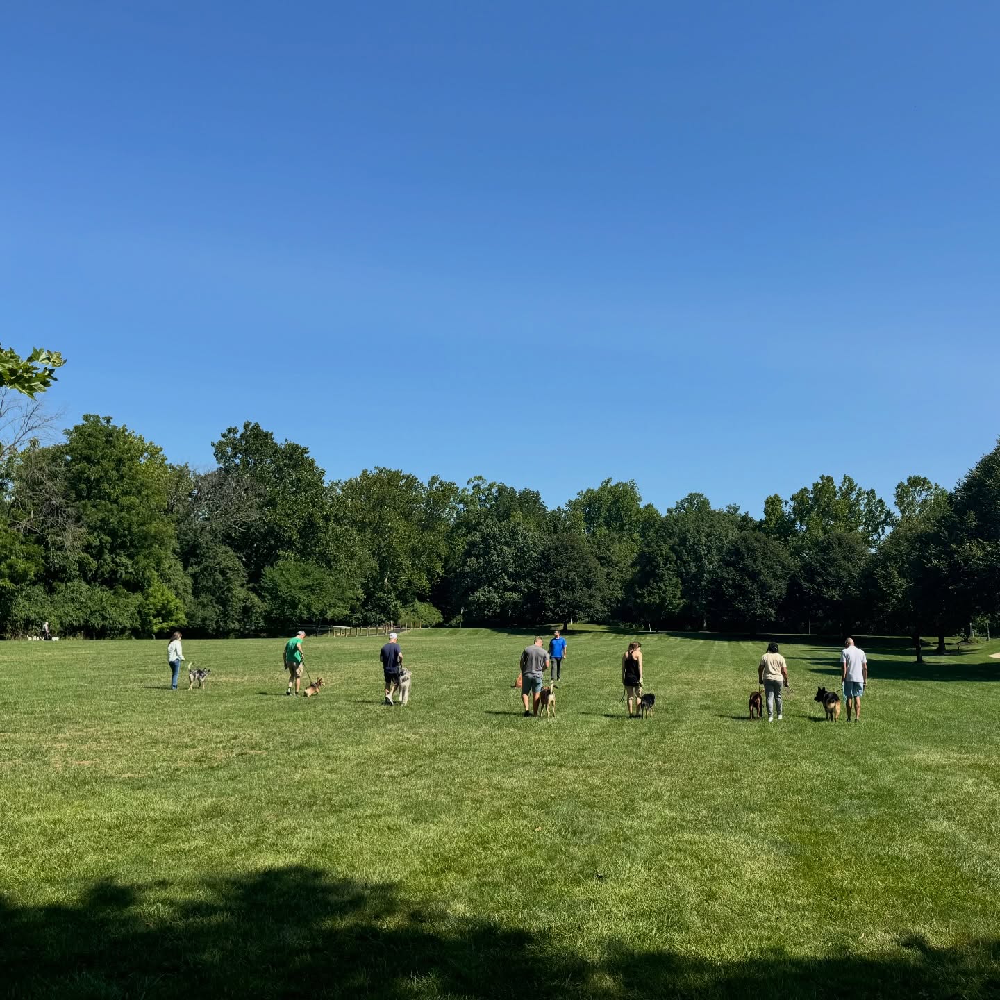 Reminiscing on warmer days 🦮☀️ Who else is ready for spring adventures with their pup? Whether it&rsquo;s walks, training, or playtime, we can&rsquo;t wait to get back outside!

