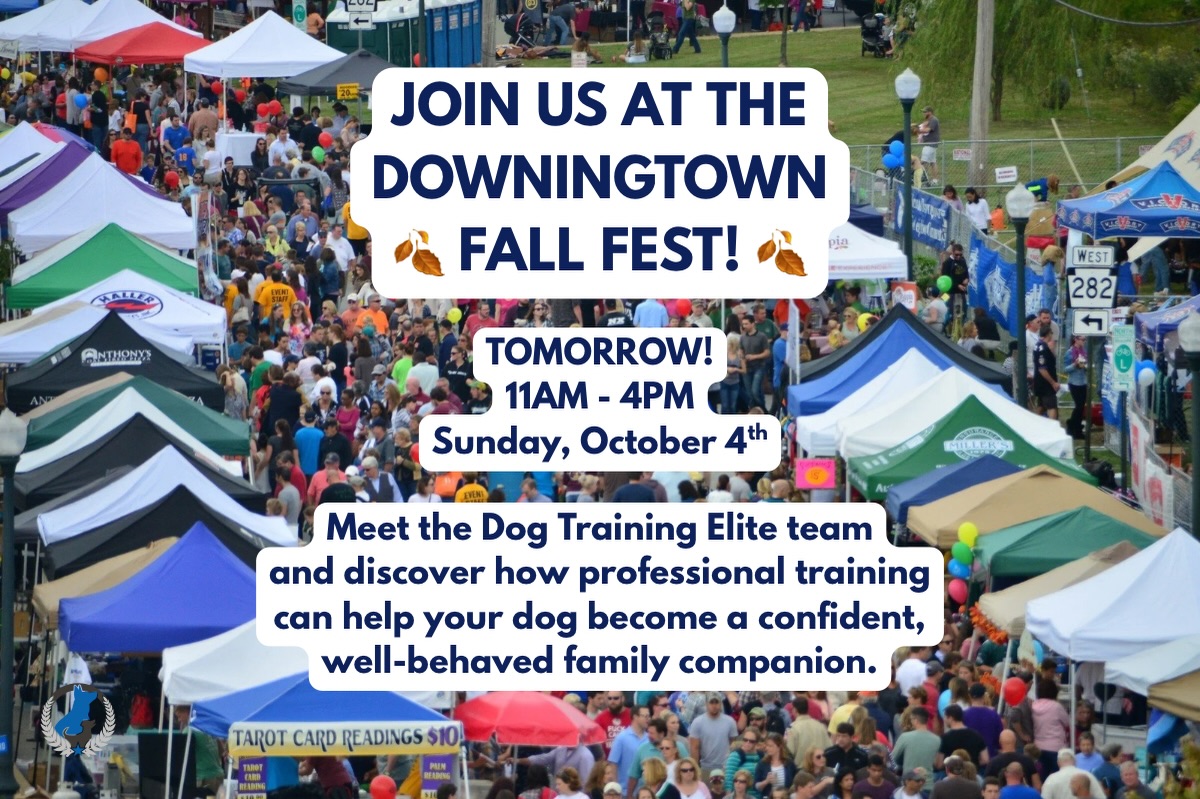 TOMORROW! 🍁🎃 We&rsquo;re headed to the Downingtown Fall Fest, October 4th!

Come meet us, talk all things dog training, and discover how we can help you build better behavior and a stronger bond with your dog.

Questions? DM us or tap the link in bio to request a FREE assessment. 
