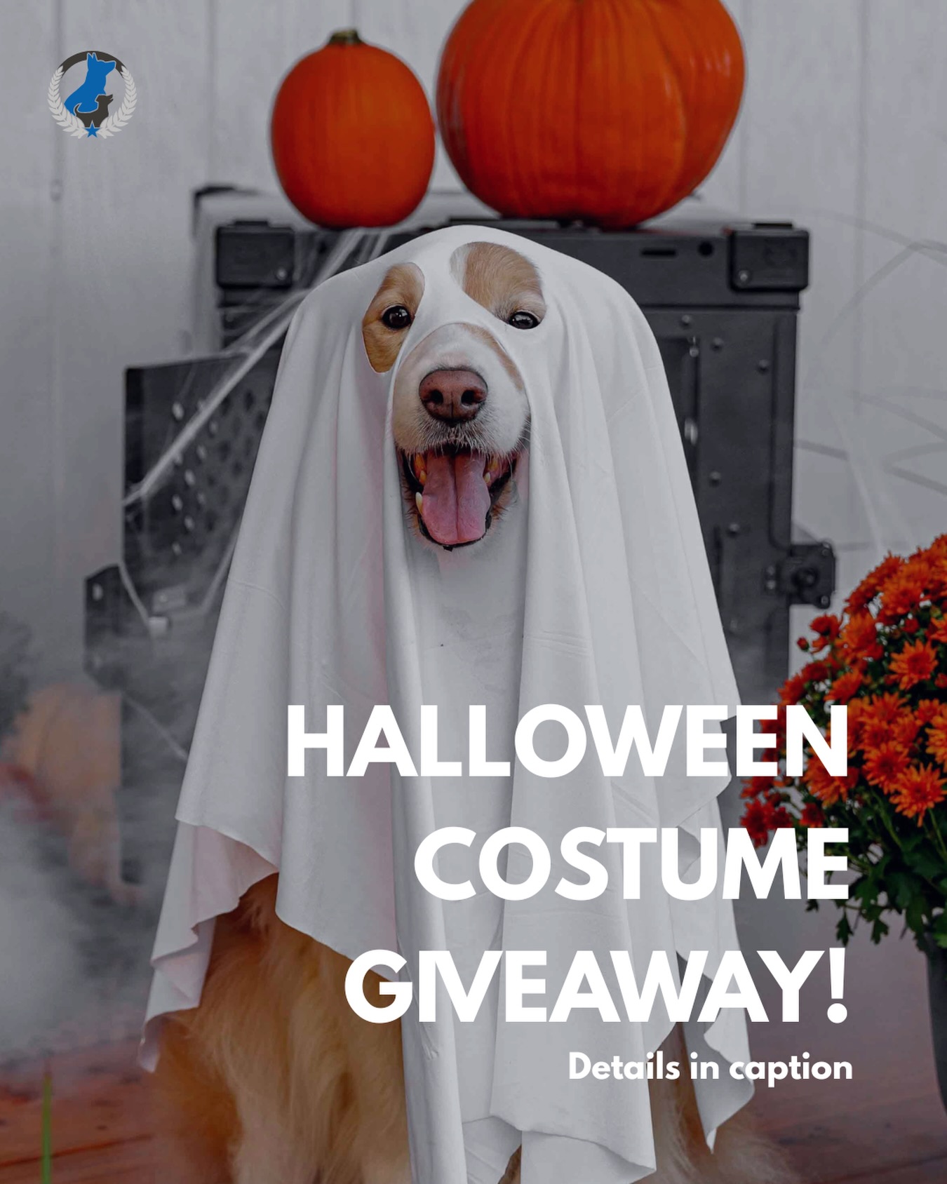 HALLOWEEN COSTUME GIVEAWAY! 🐾🎃 We want to see your pup&rsquo;s spookiest, silliest, or cutest Halloween costume for the chance to win a FREE BarkBox!

To enter:
Send us a photo of your dog dressed up for Halloween OR tag @dogtrainingeliteofmainline in your post.

We want to see all the adorable costumes, so get creative! Submit your photos by Friday, October 30th for your chance to win. Good luck!

