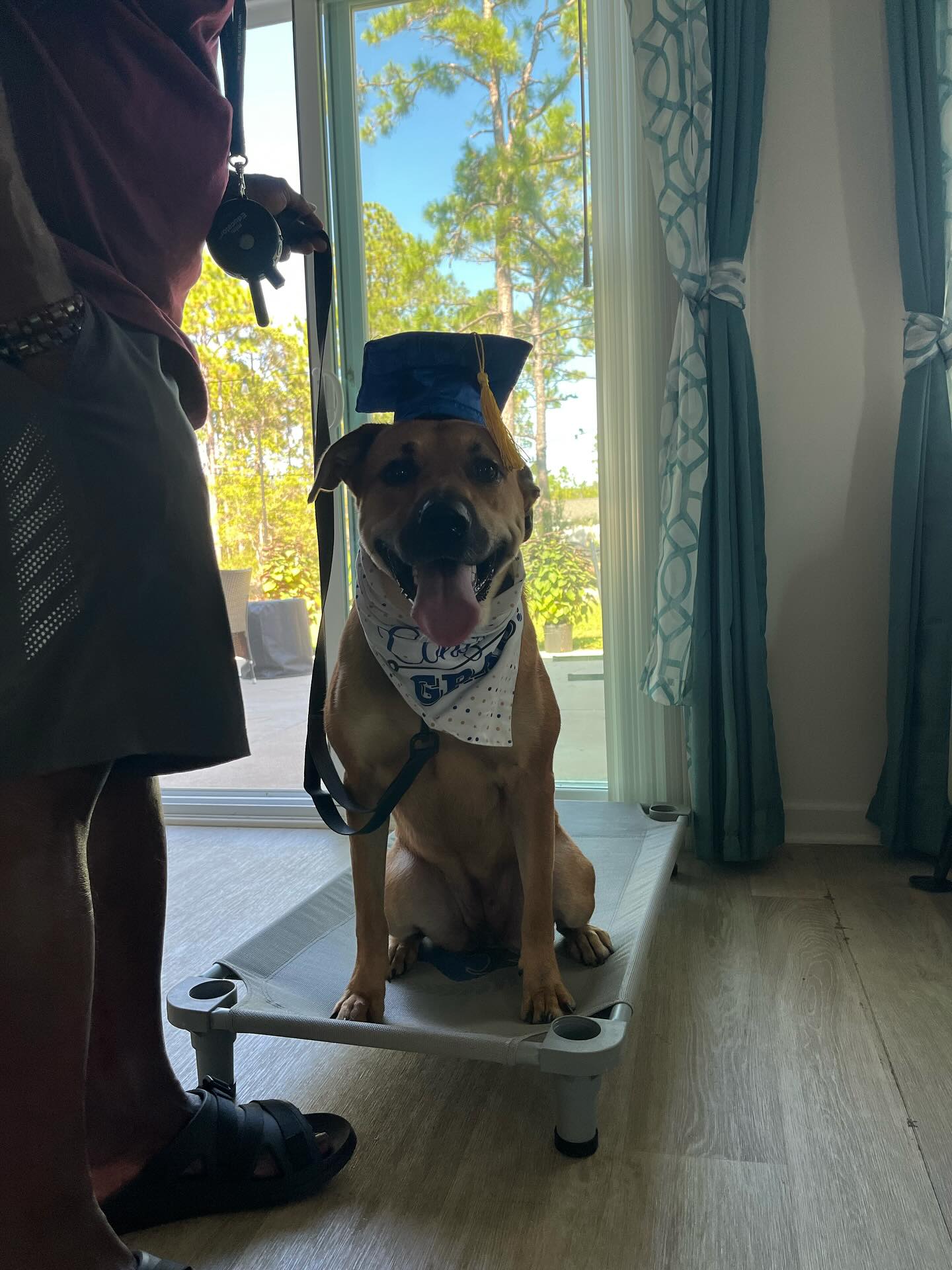 Congratulations to Luna for graduating our Platinum program!🎉🎉🐾