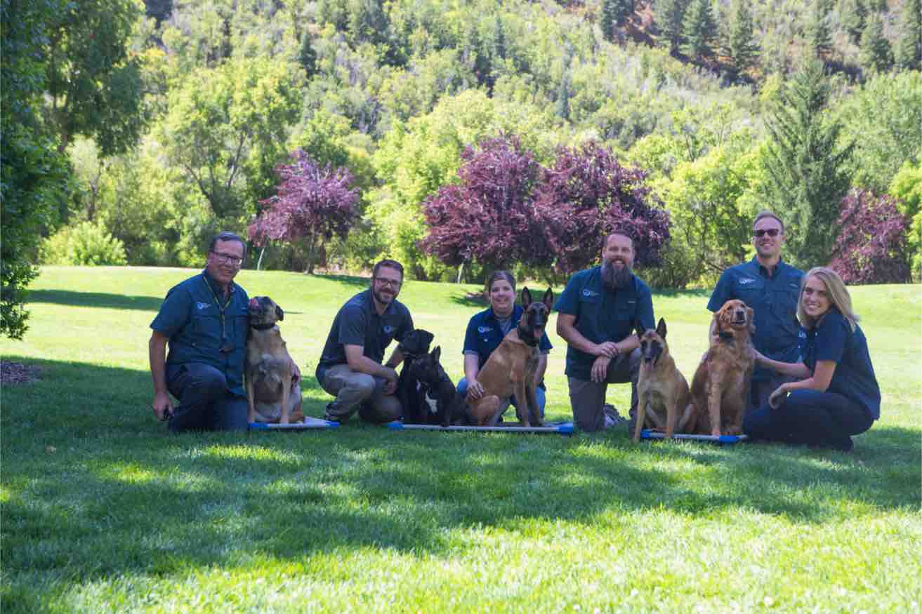 These Dog Training Elite owners love their dogs, their clients, and their company!