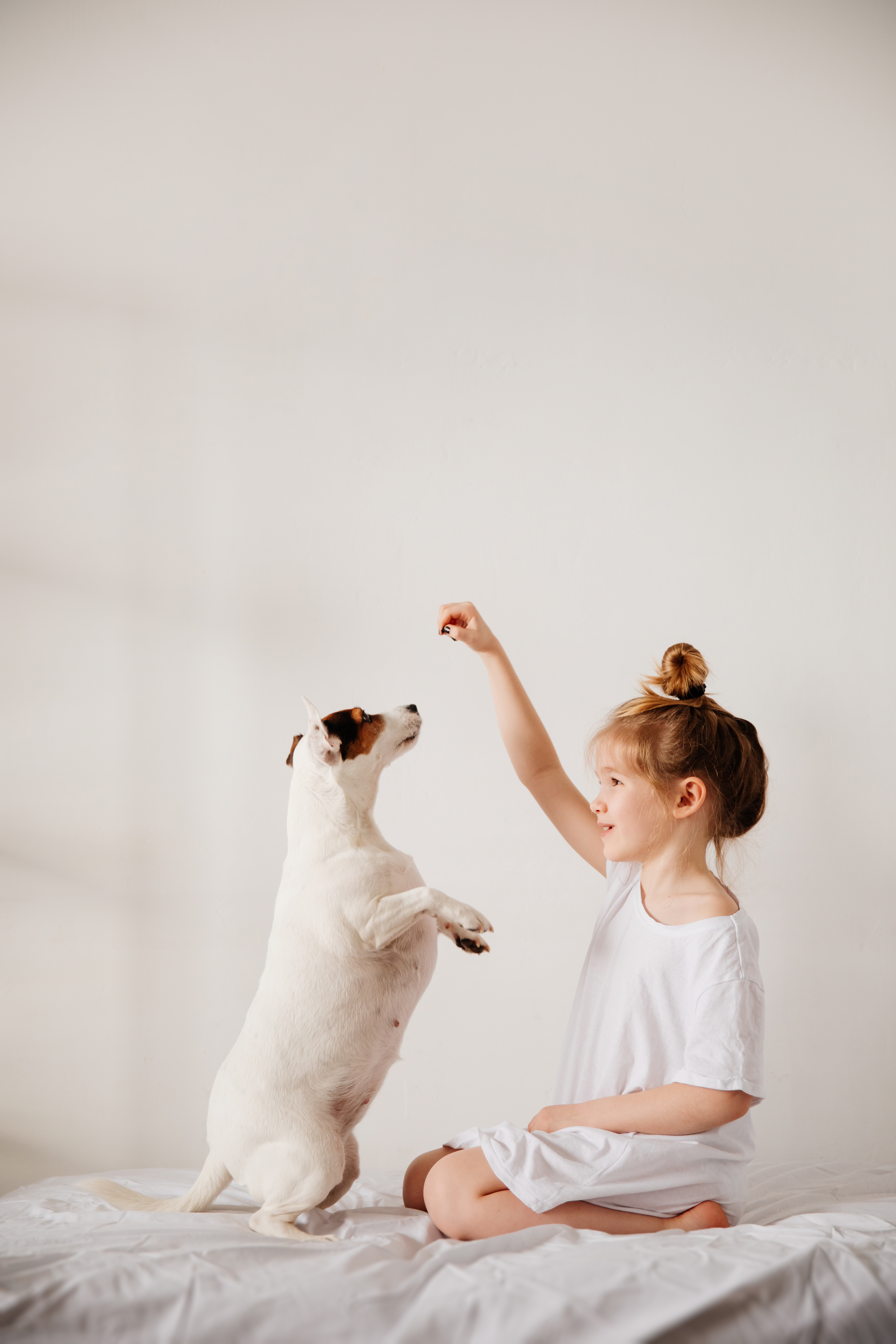 A girl training her dog in the comfort of her home - provided by professionals at Dog Training Elite in Mesa, AZ.