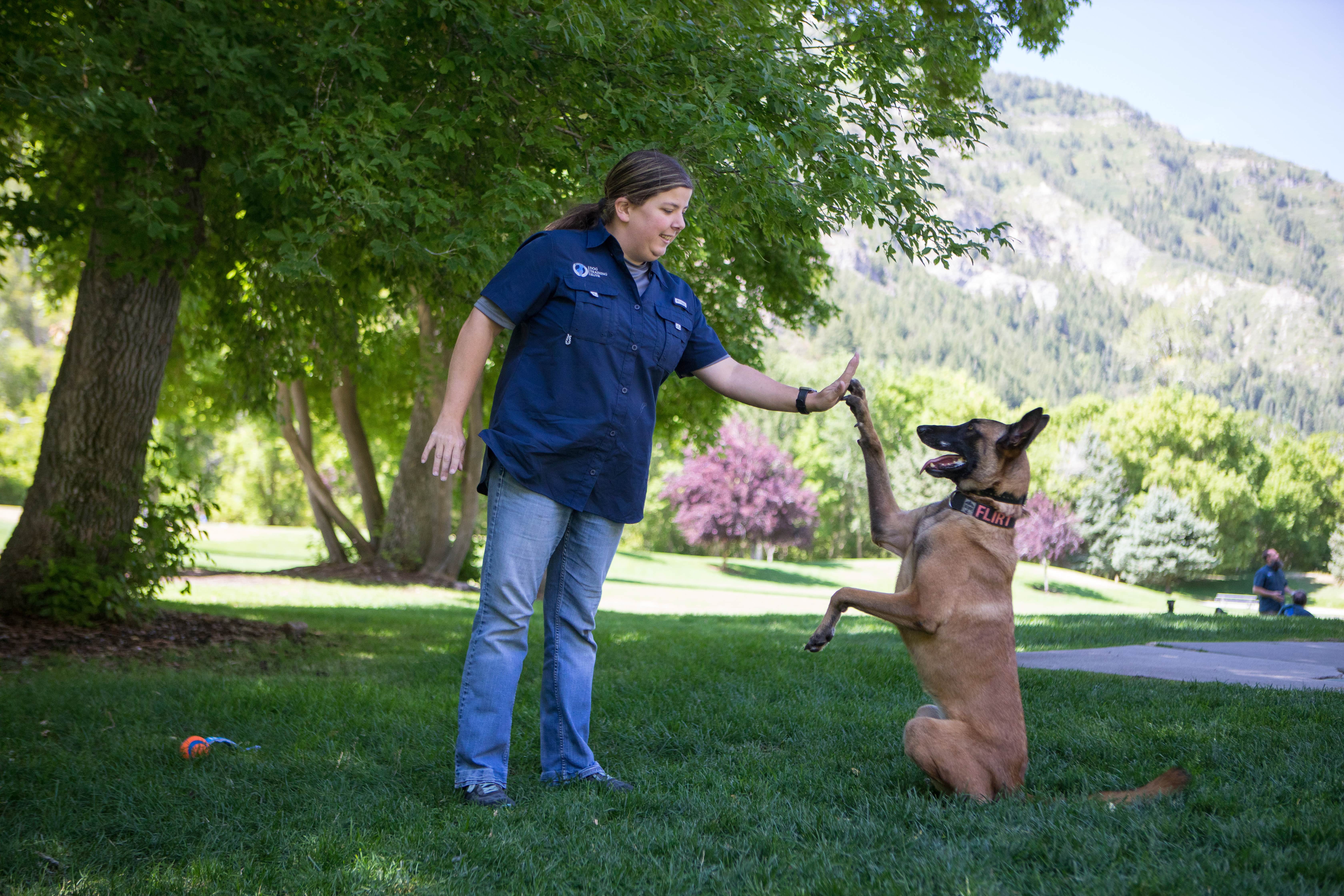 Owning a dog training franchise with Dog Training Elite is the perfect business opportunity for first responders.
