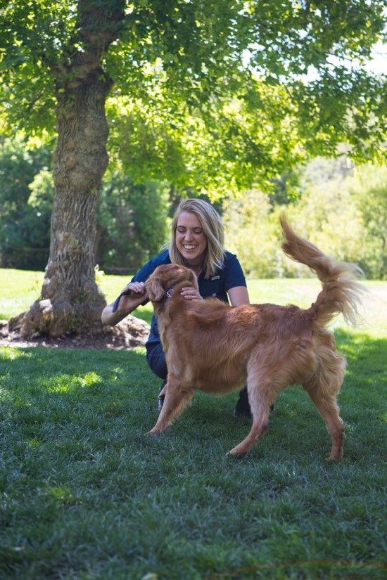 Dog Training Elite Owner plays with her dog in the grass.
