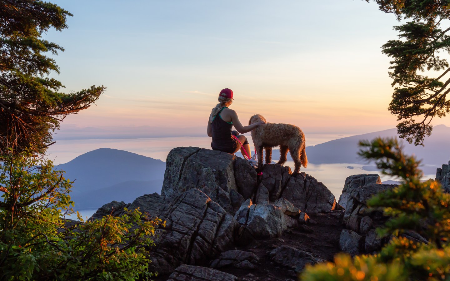 A dog and their owner on an outside adventure - get elite dog training in Katy, TX with Dog Training Elite.