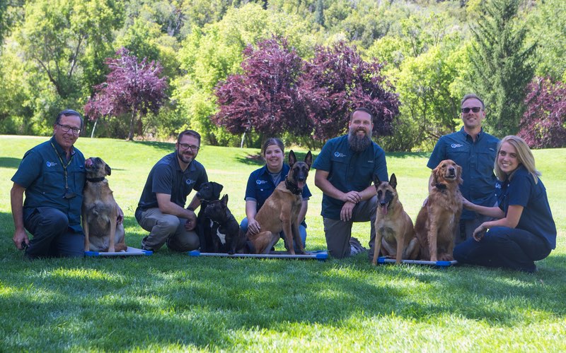 Dog Training Elite trainers with their dogs
