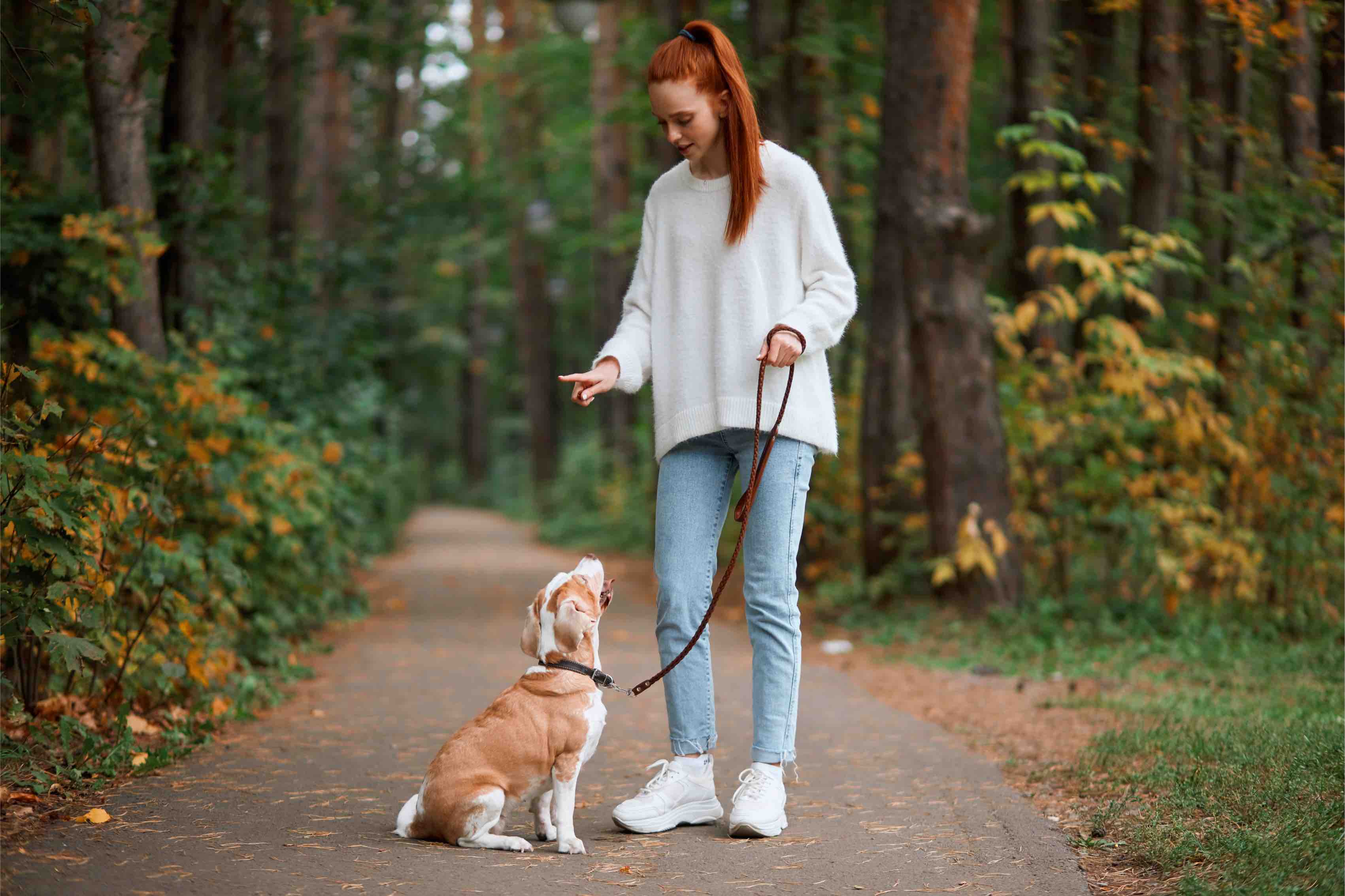 Girl and dog working on their Dog Training Elite in Atlanta training on a walk in the park.