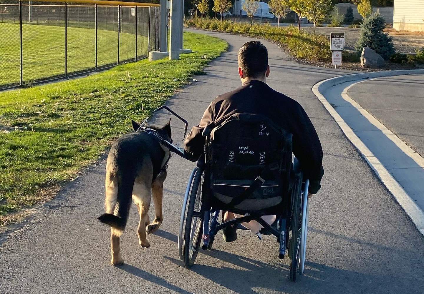 An owner with their guiding service dog - learn how Dog Training Elite Sarasota can benefit you.