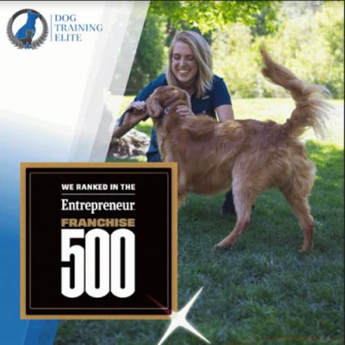 Dog Training Elite Makes Entrepreneur Franchise 500 List for 2022!