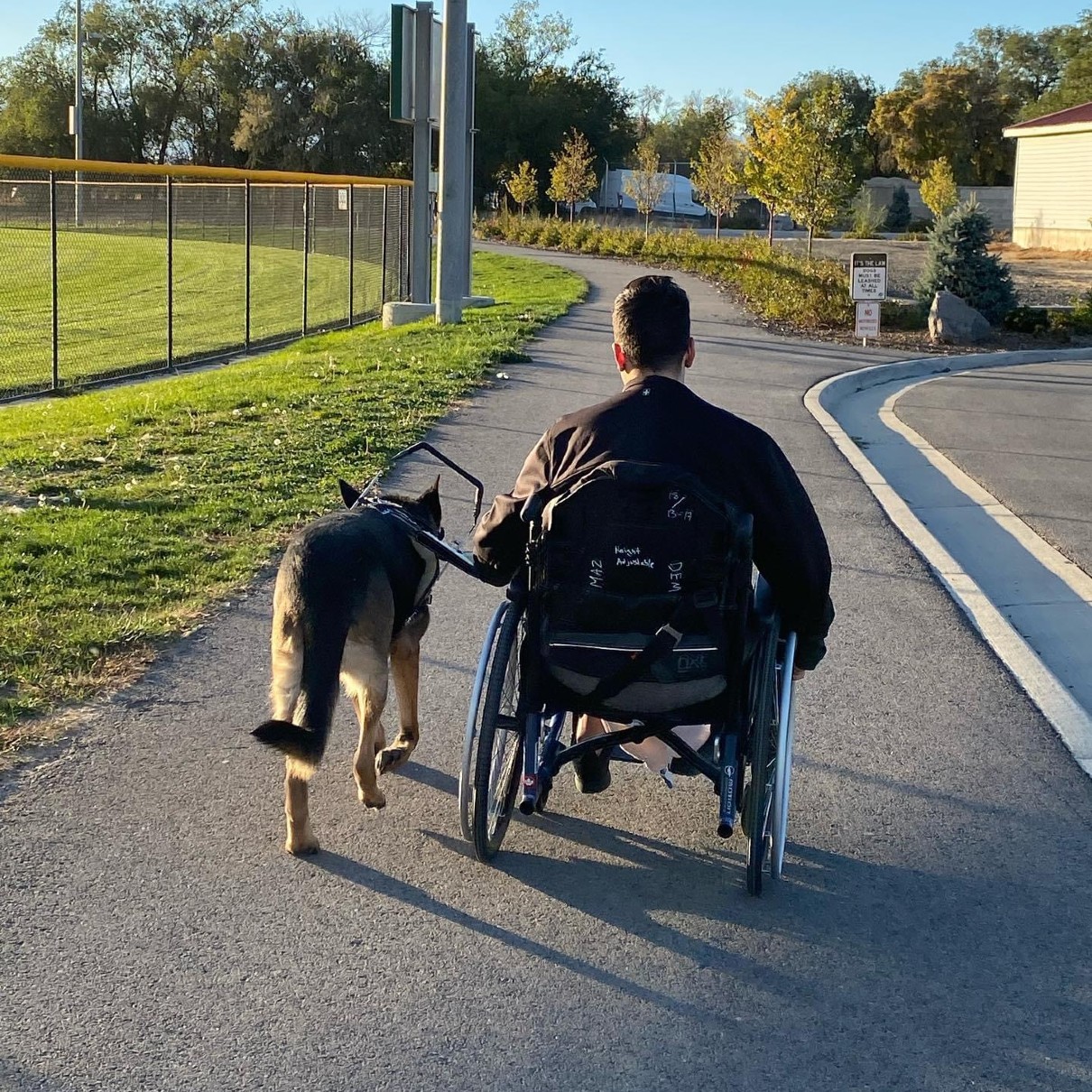 A man in a wheelchair walks with his service dog, trained by the experts at Dog Training Elite.