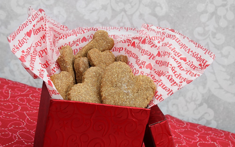 Valentine's day dog treats in red bag.