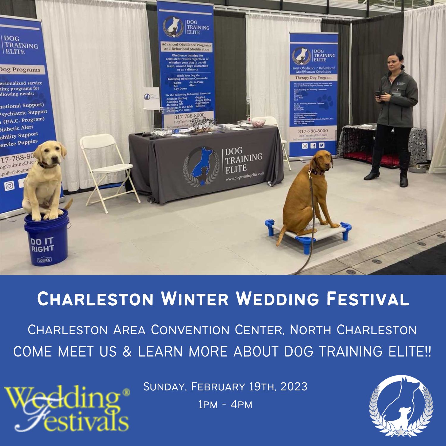 Charleston Winter Wedding Festival