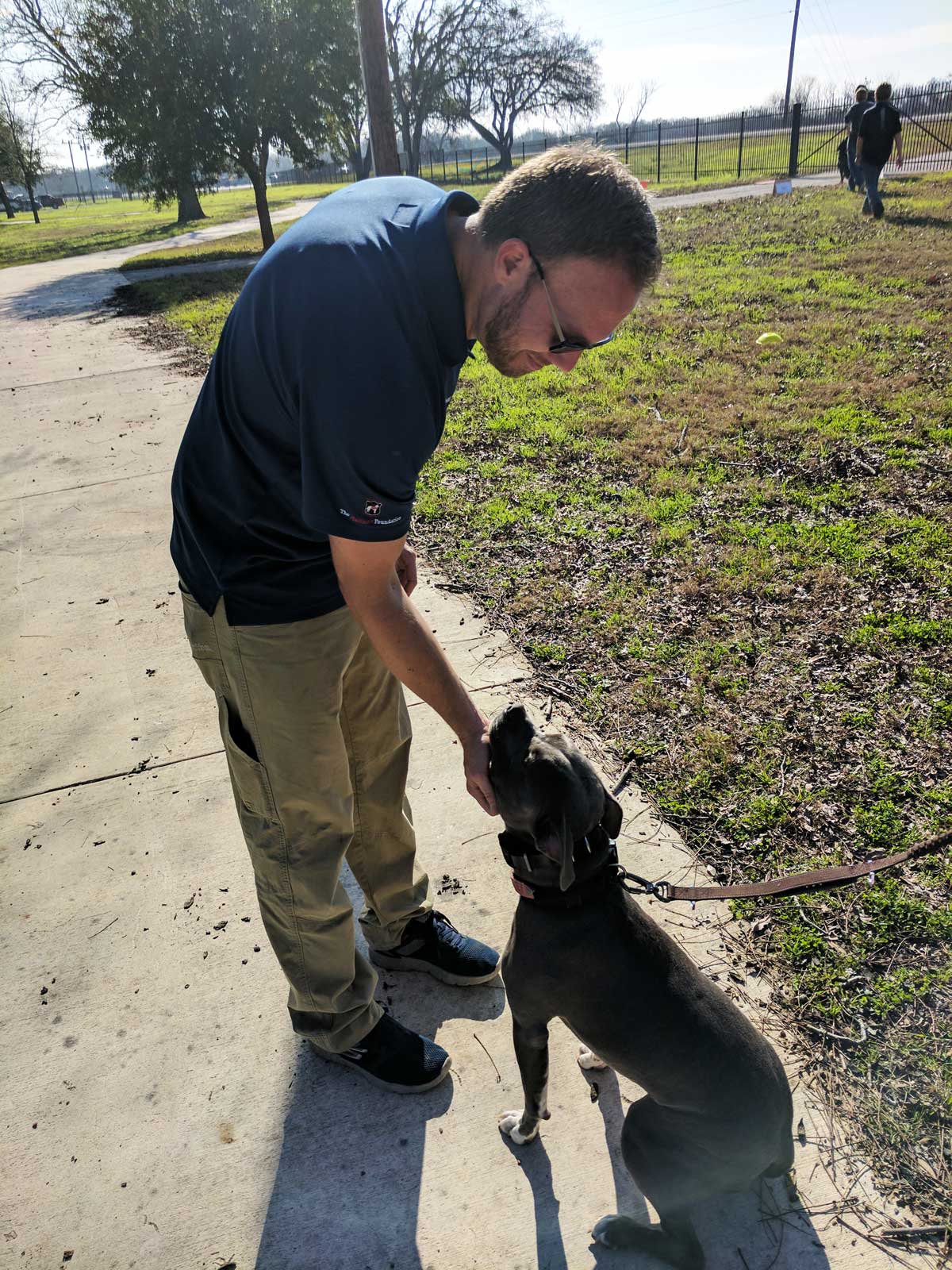 Dog Training Elite offers expert aggressive dog training programs near you in Davis / Weber County.