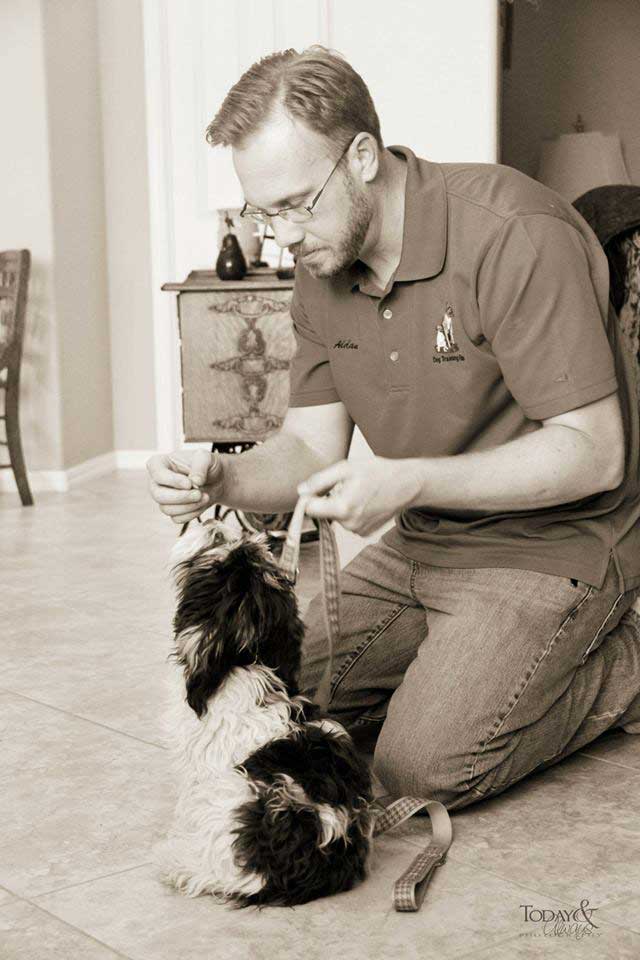 Why Choose In-Home Dog Trainers in Shreveport / Bossier City