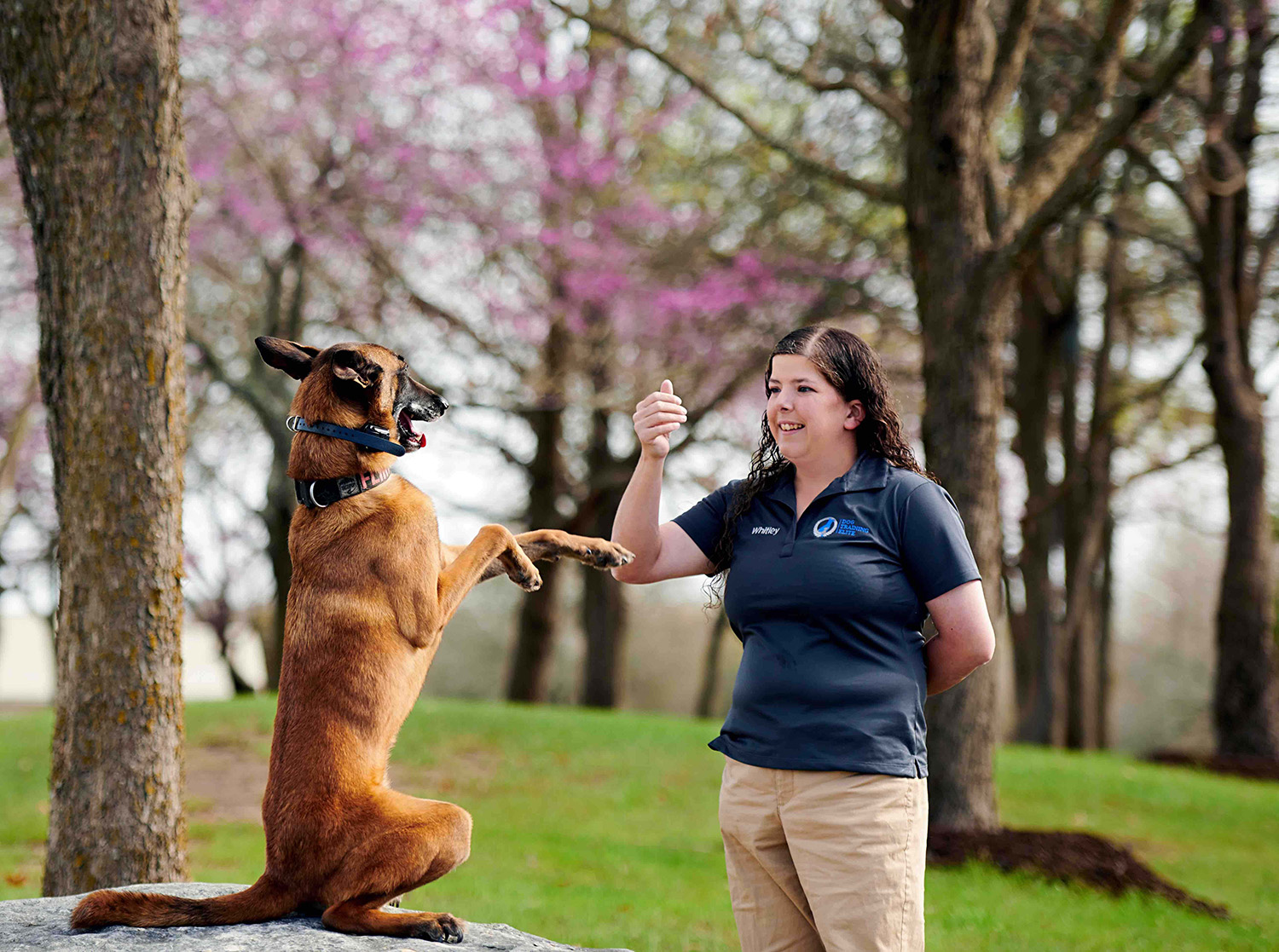 Dog Training Elite owner enjoys the business model and the pups in this dog business for sale.