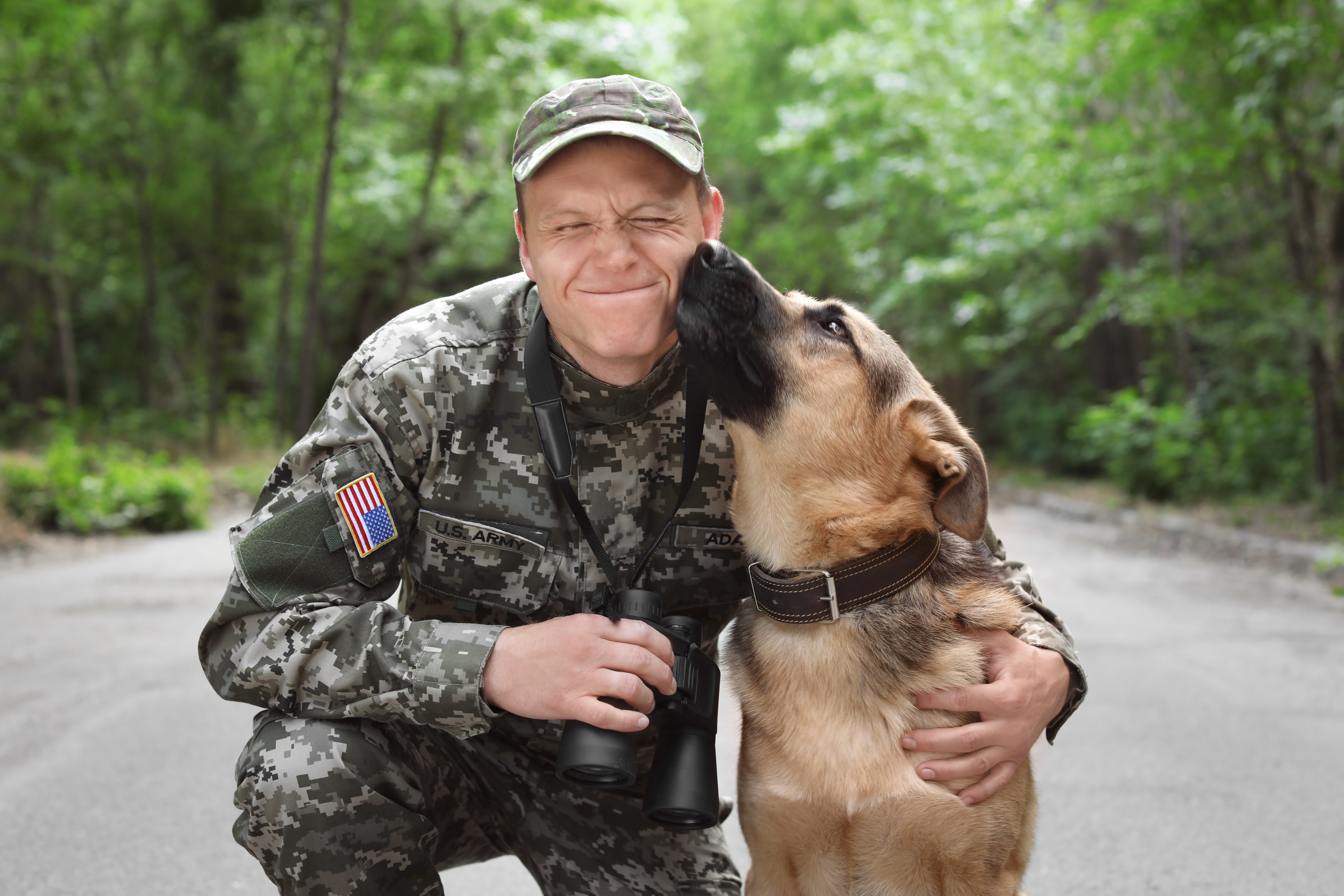 Dog Training Elite St. Louis military and veteran discount.