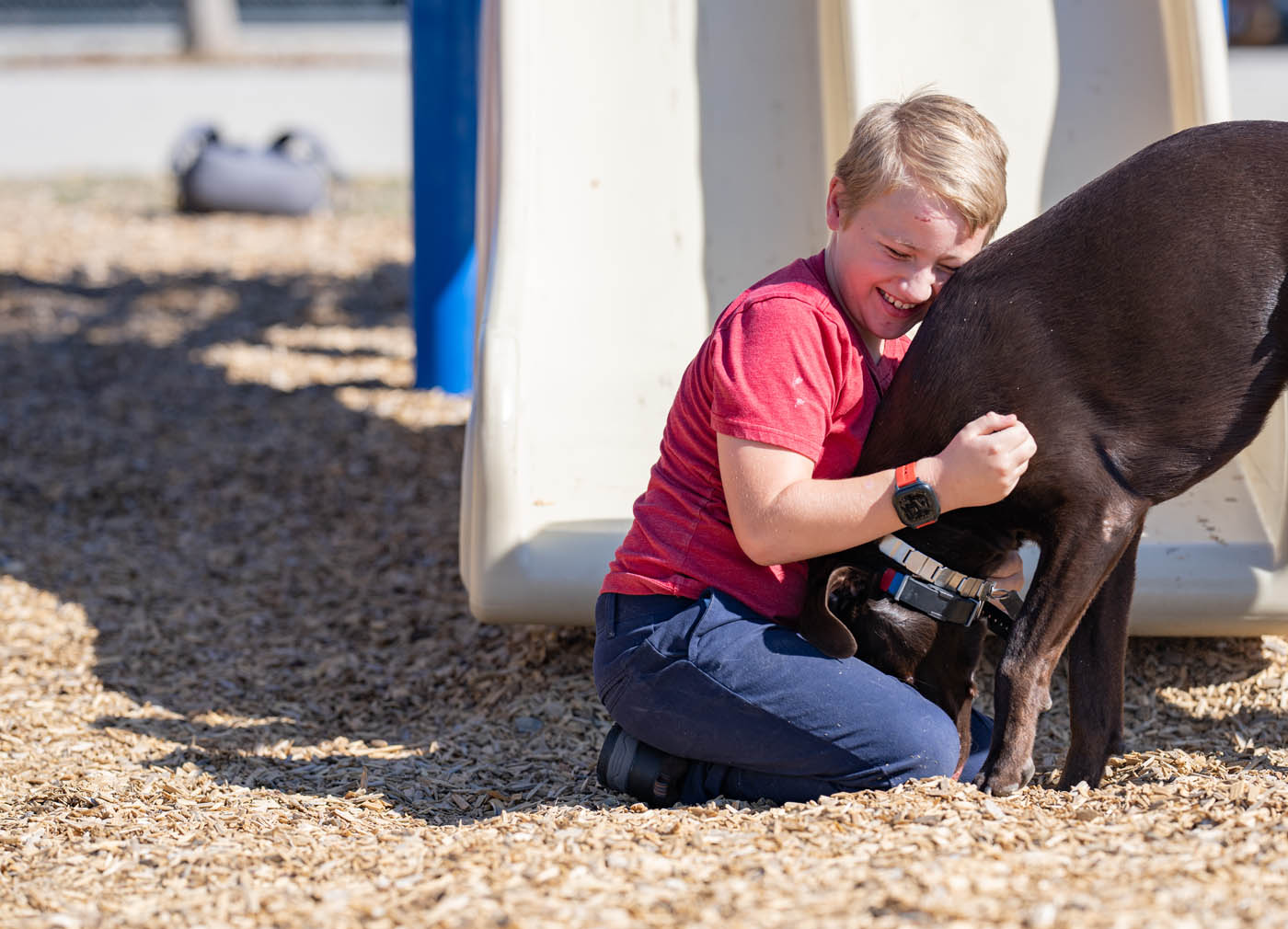 A young boy with his service dog in Traverse City, MI.