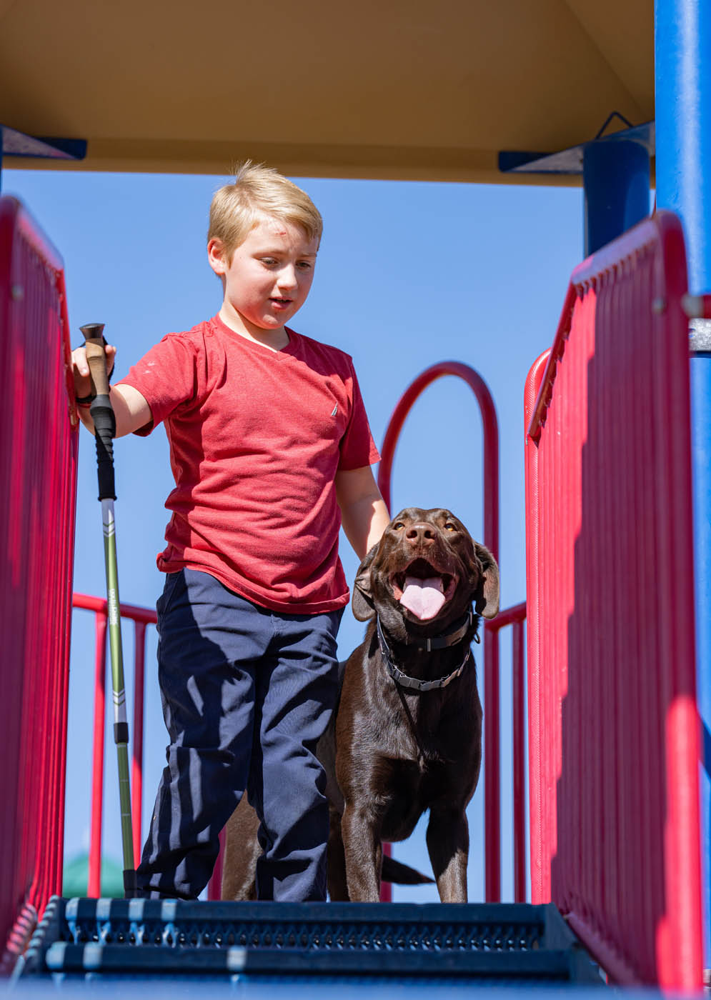 A boy on the playground and his mobility support service dog.