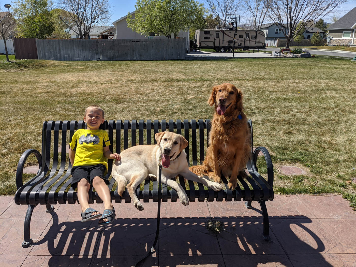 A child sitting on an outside bench with his dogs in Wilmington, NC.