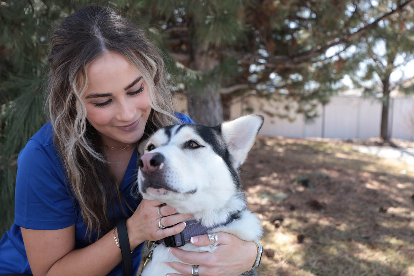 A dog owner from Dog Training Elite Katy giving their dog positive reinforcement.