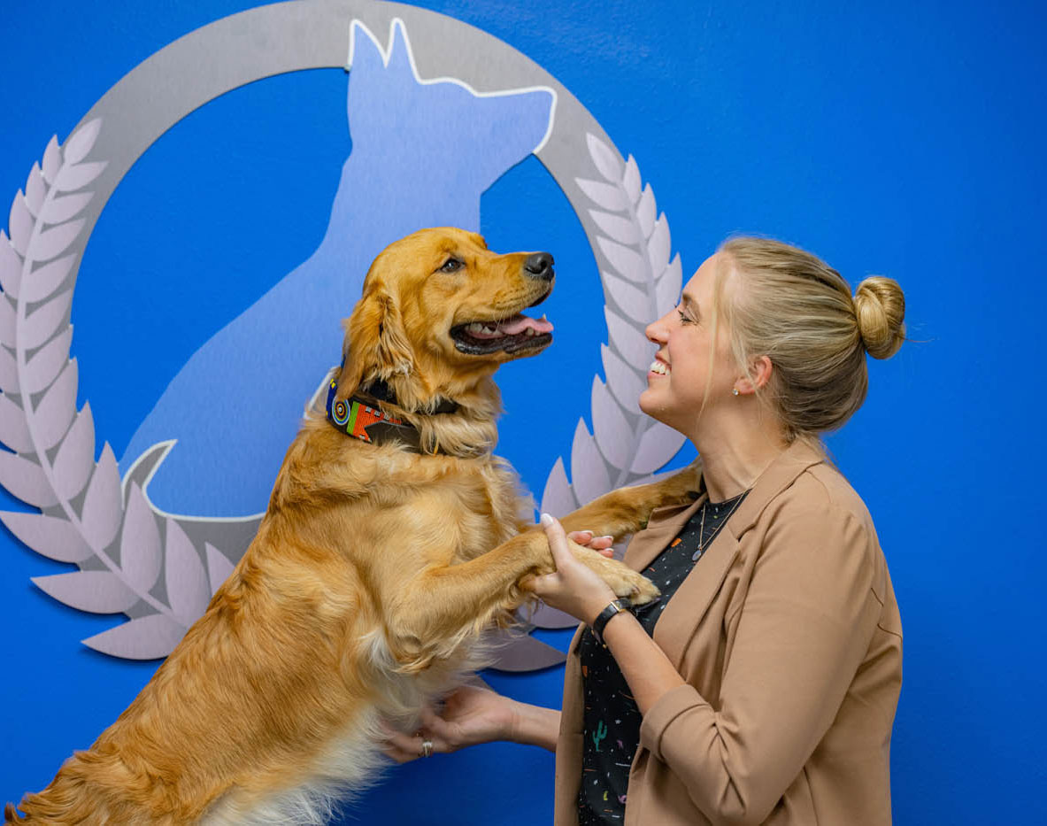 A well trained dog and their owner posing in front of a Dog Training Elite wall.