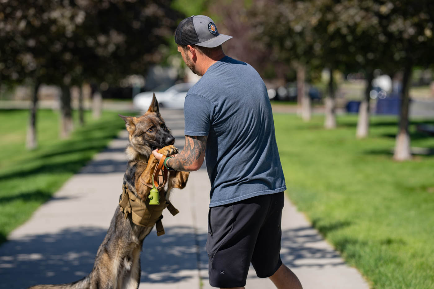 A dog owner playing with his german shepard, learn more about our Katy classical conditioning dog trainers.