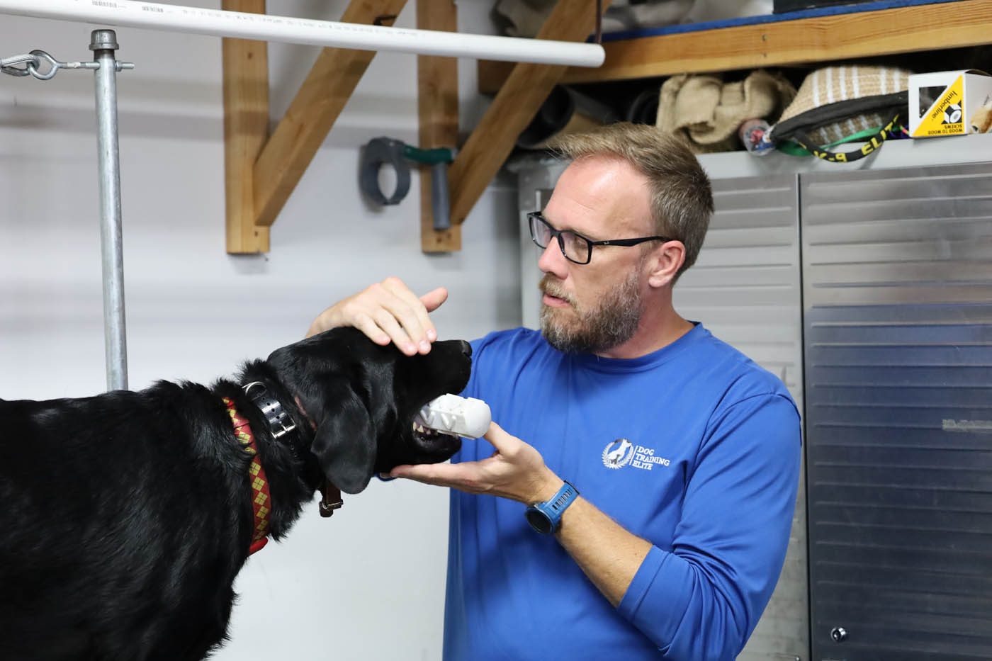 A Dog Training Elite Lowcountry owner smiling with his dog in Charleston / Summerville, SC.