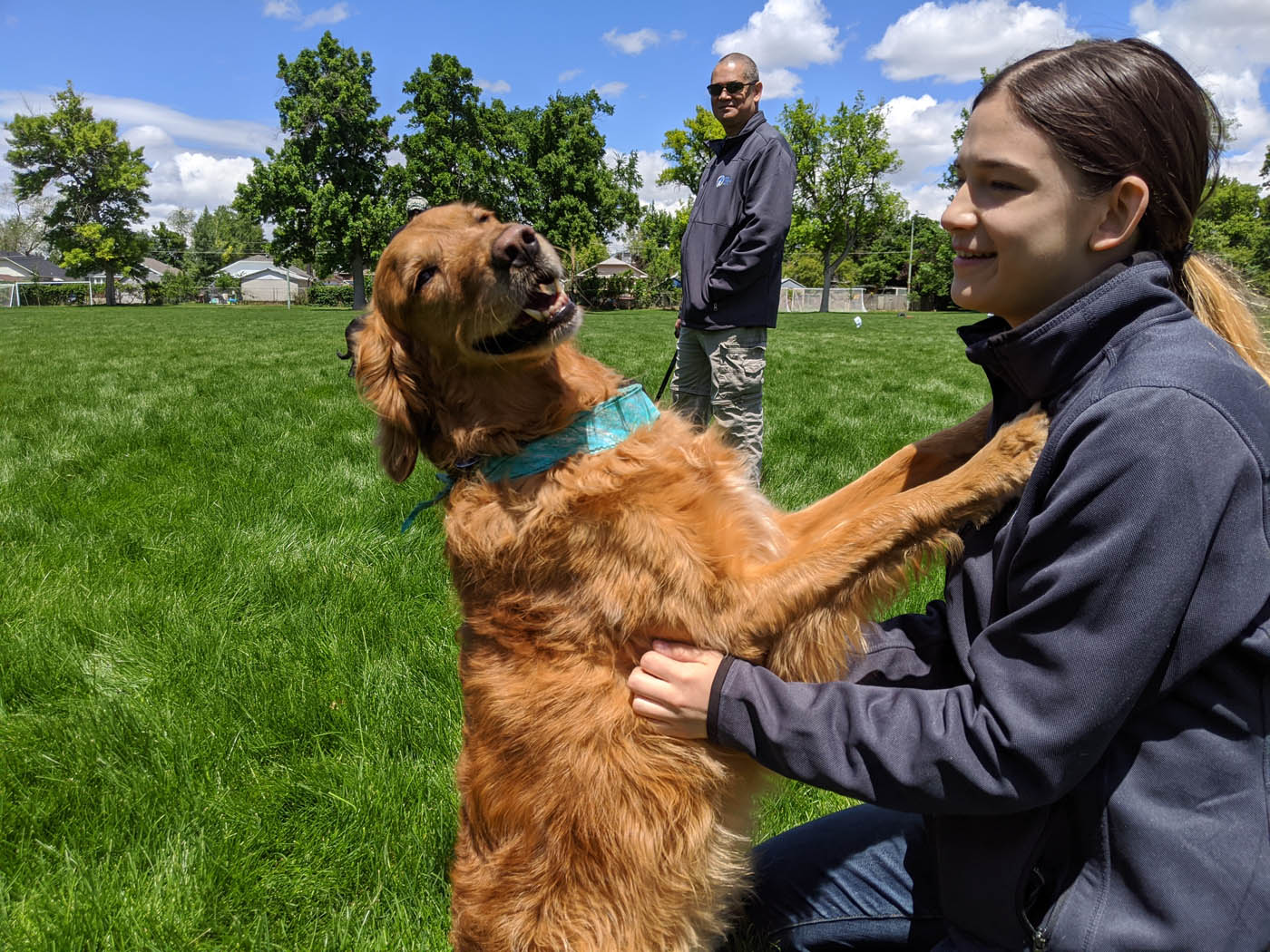 A therapy dog in training with Dog Training Elite Salt Lake City's expert handlers.