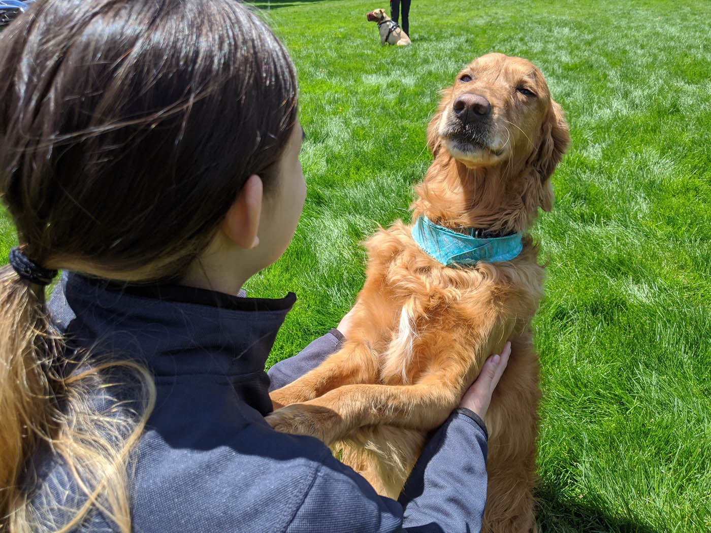 An adorable golden retriever and their owner - get your Pittsburgh aggressive dog training consultation today and take the first step towards a long-lasting relationship.