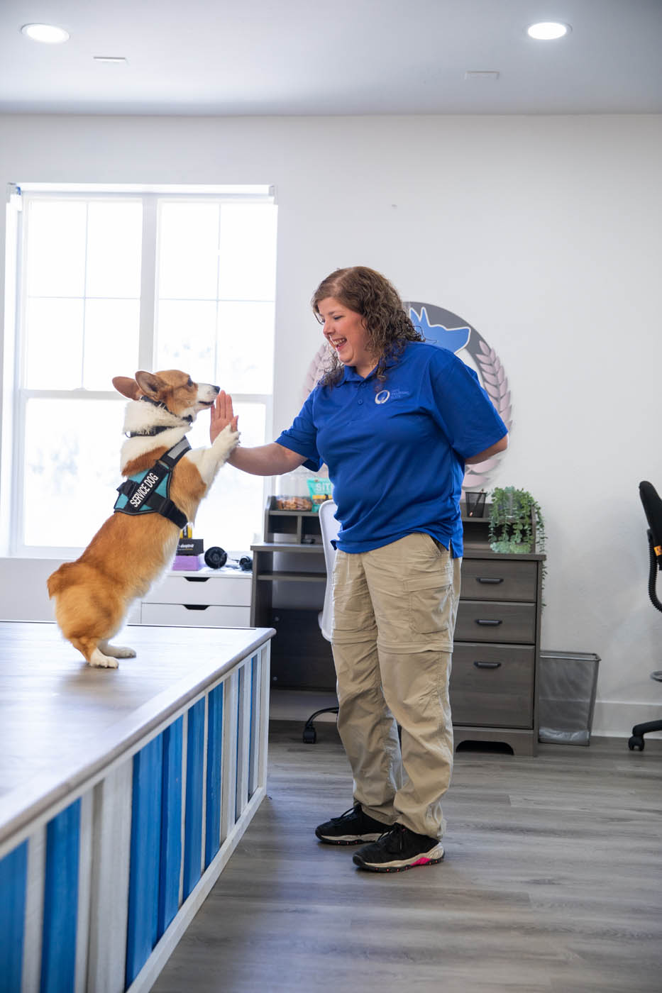 A Dog Training Elite St. Louis owner with her corgi at our dog training centers in St. Louis, MO.