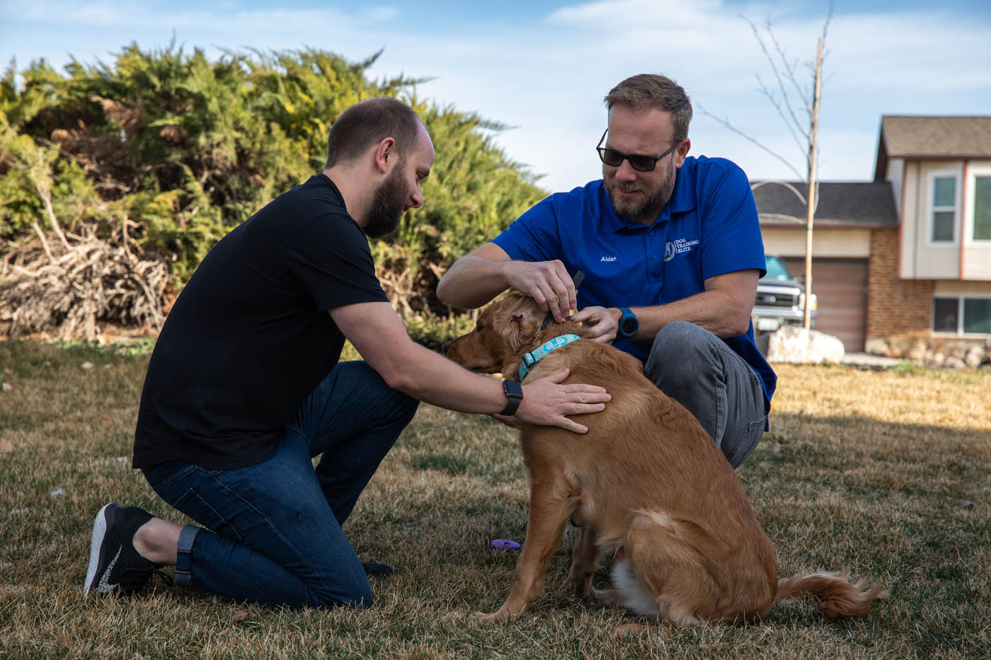 Dog Training Elite Reno - Meet Our Elite Team. Dog Training Elite Reno 