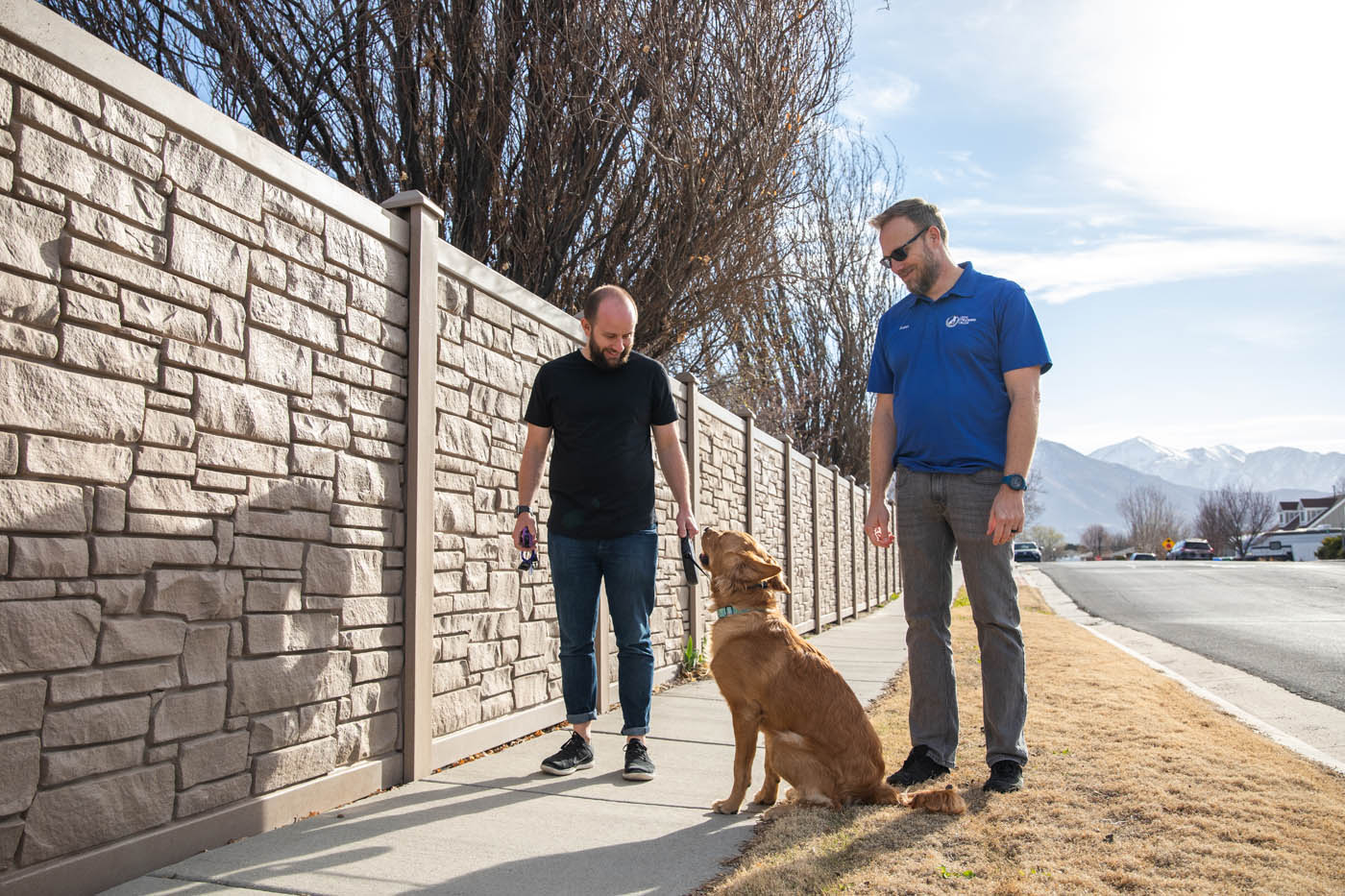 Dog Training Elite Utah County - Dog Training Elite. K9 Training in Utah County, UT