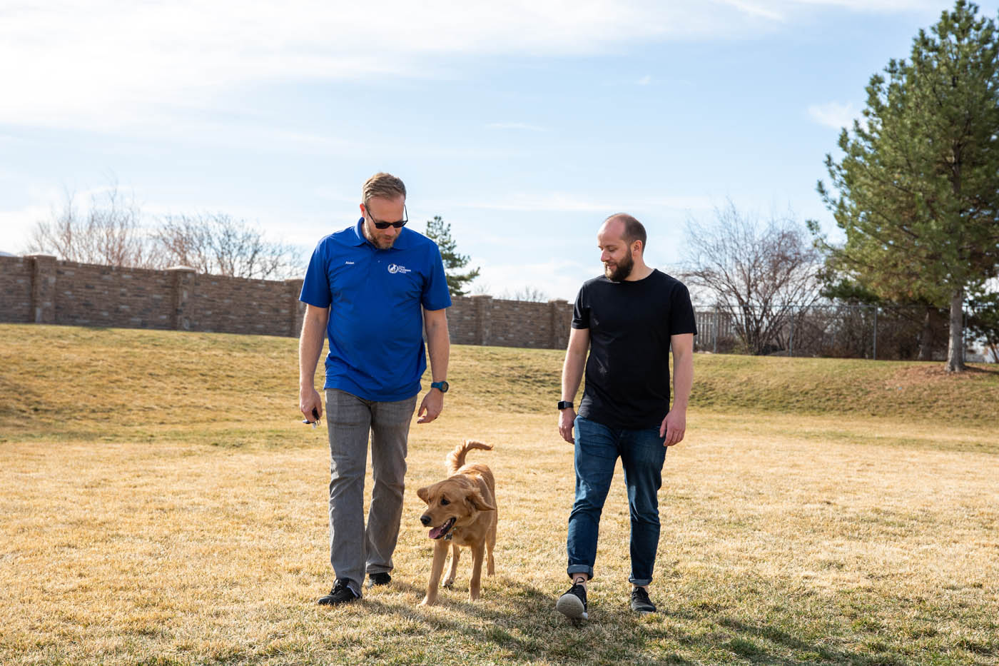 Dog Training Elite Colorado Springs - 