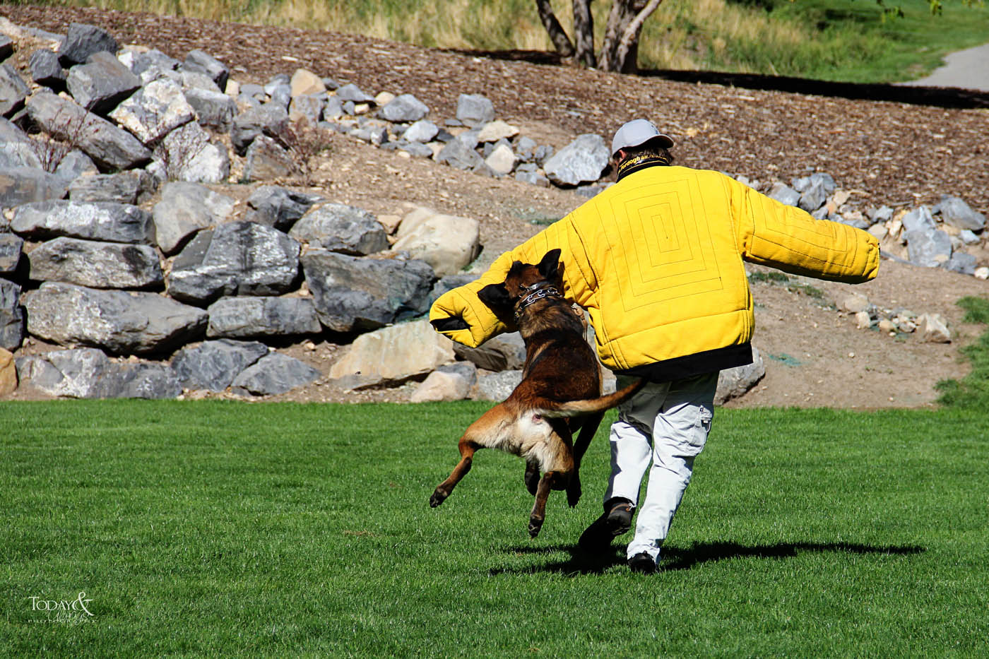 Dog Training Elite in Cleveland Metro - Personal Protection Dog Training in Cleveland, OH