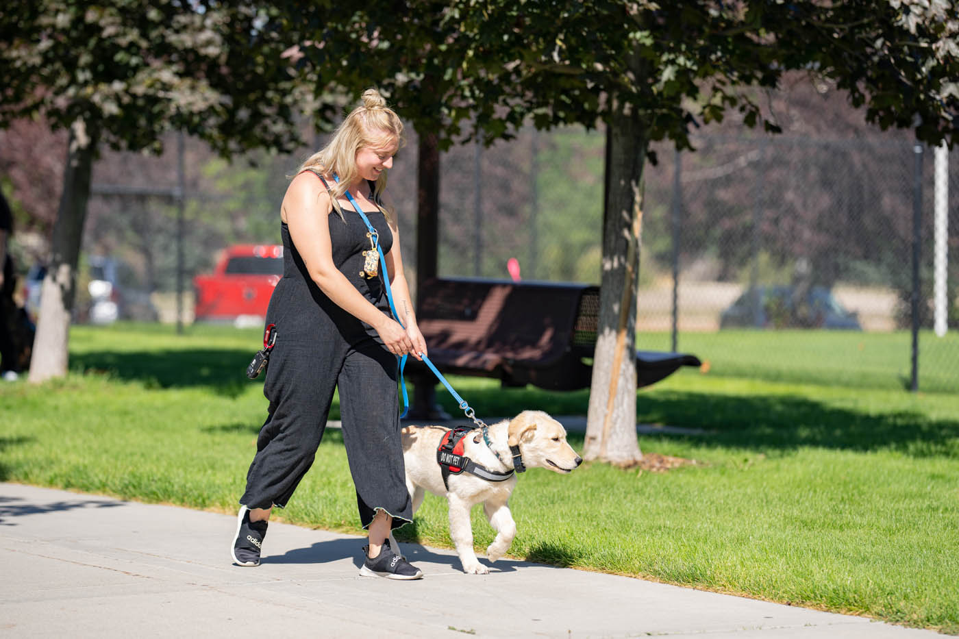 A psychiatric service dog walking with their owner - contact Dog Training Elite today to learn more about our training!