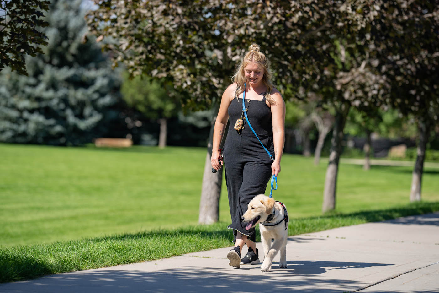 An owner and their Dog Training Elite Baltimore diabetic service dog walking through a park.