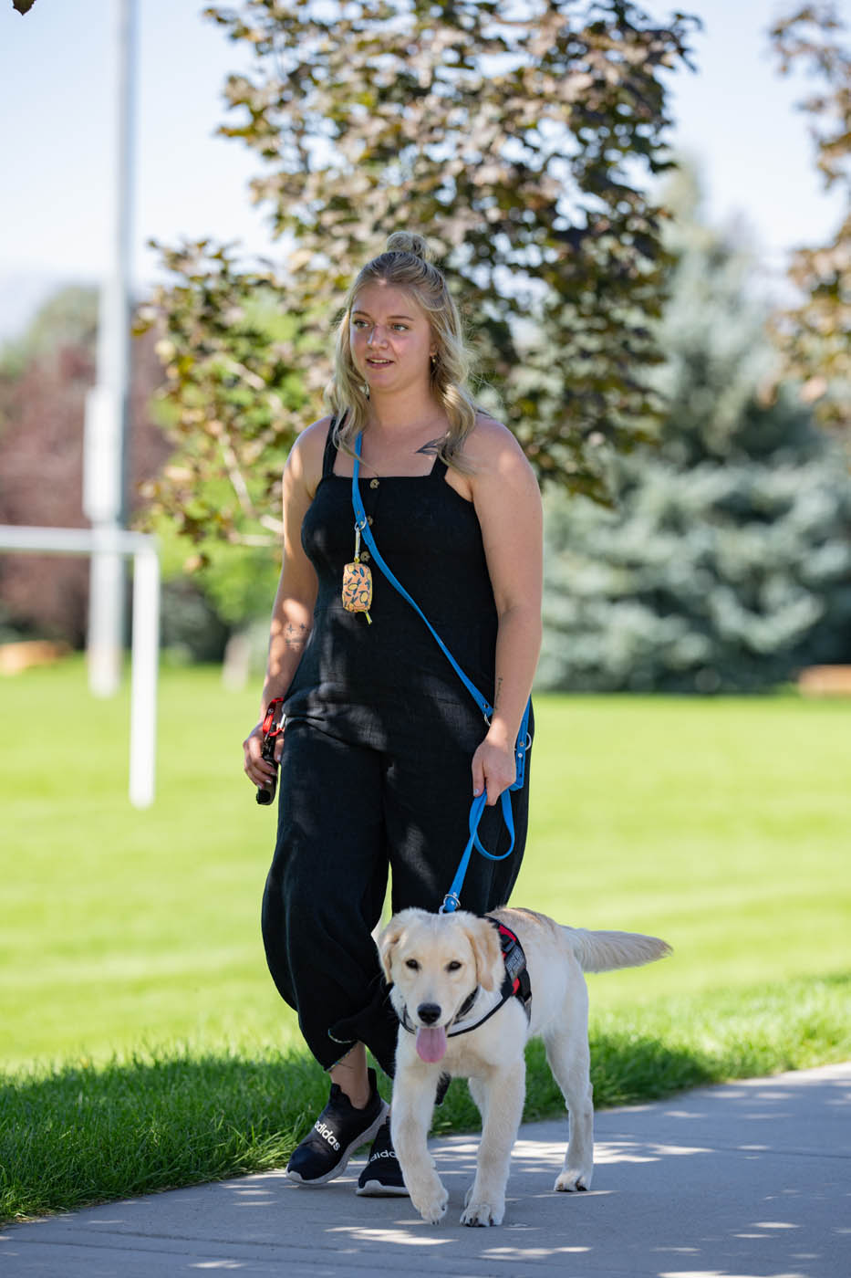 A woman walking with a service dog - Dog Training Elite can train your puppy or dog in Fort Wayne, IN.